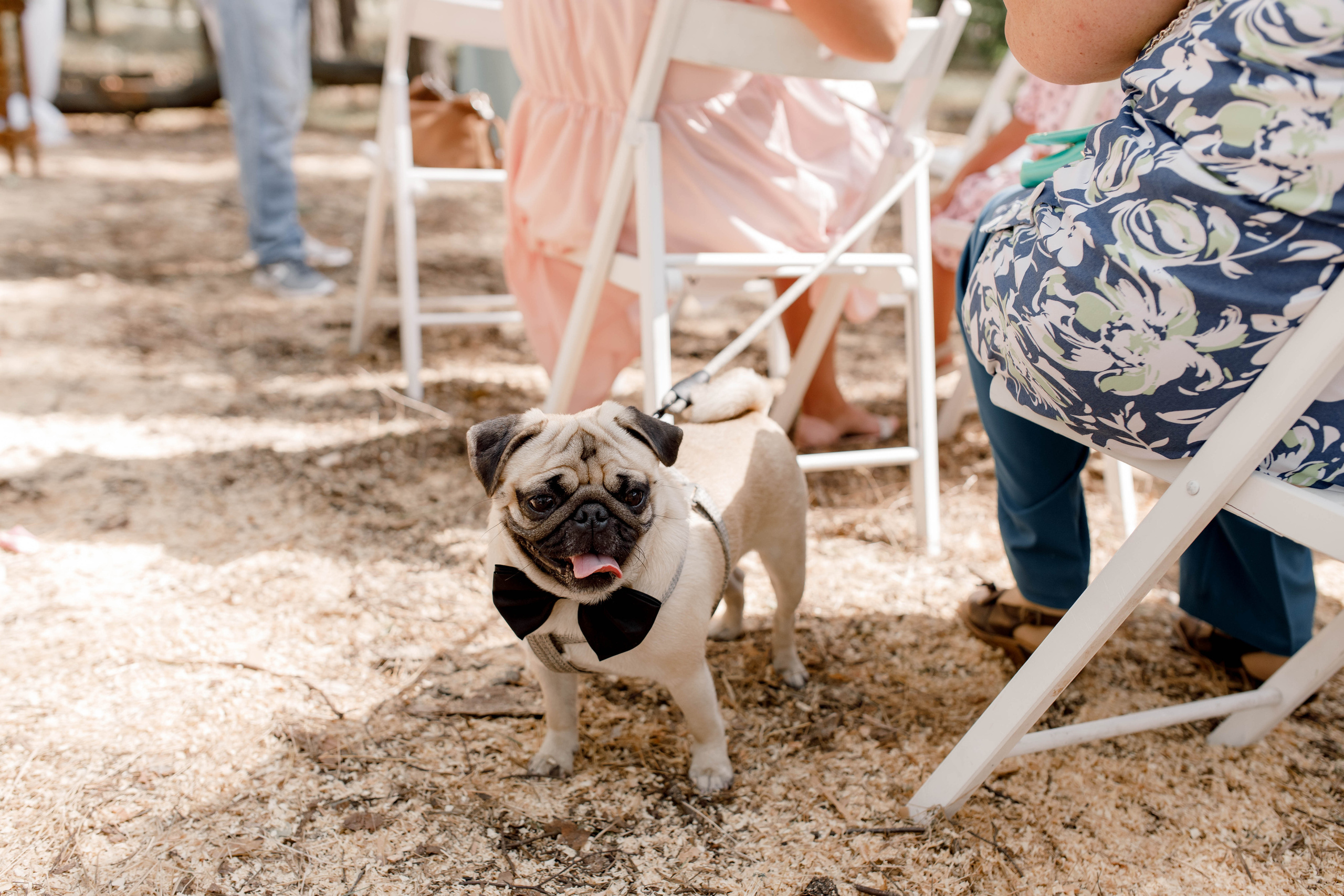Лесная сказка. Свадебный фотограф Павел Щекин