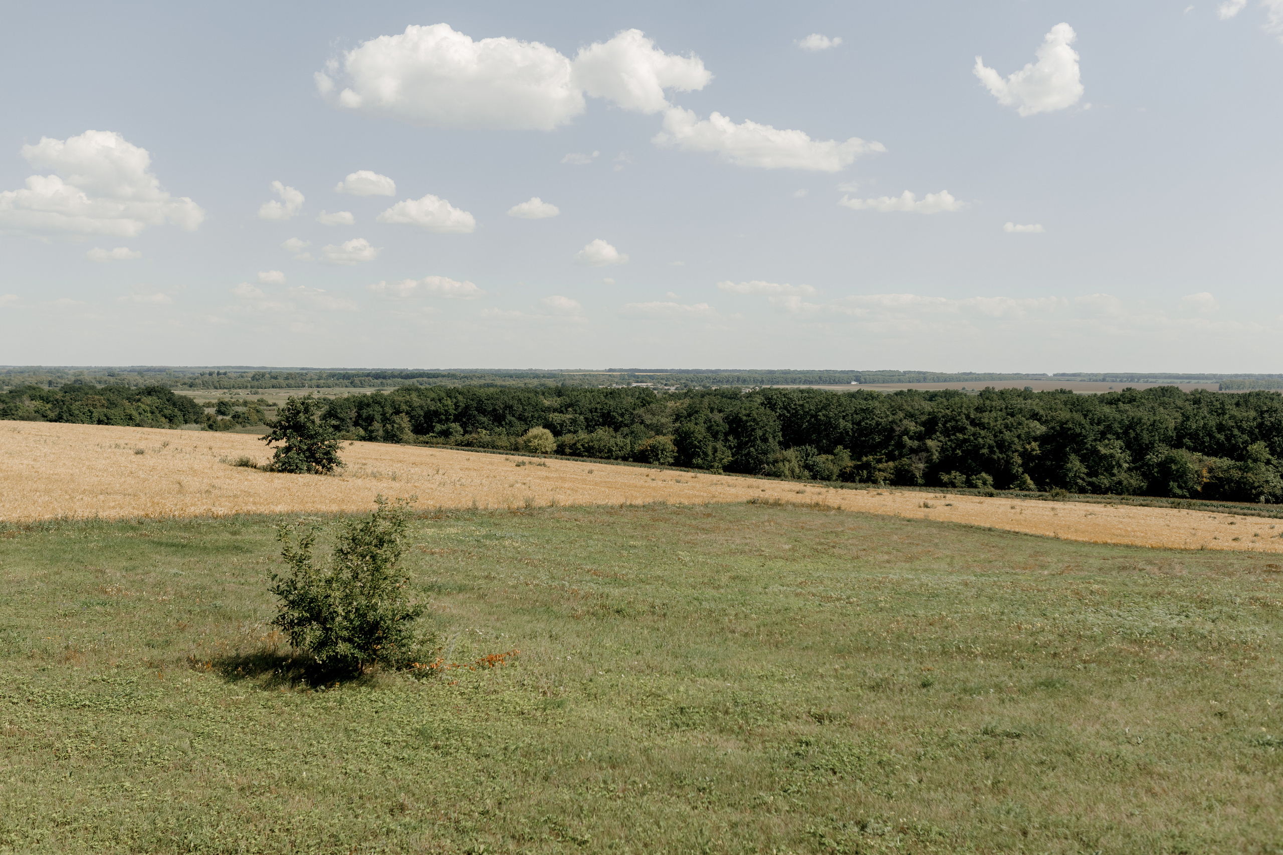 Олеся и Саша. Свадебный фотограф Павел Щекин