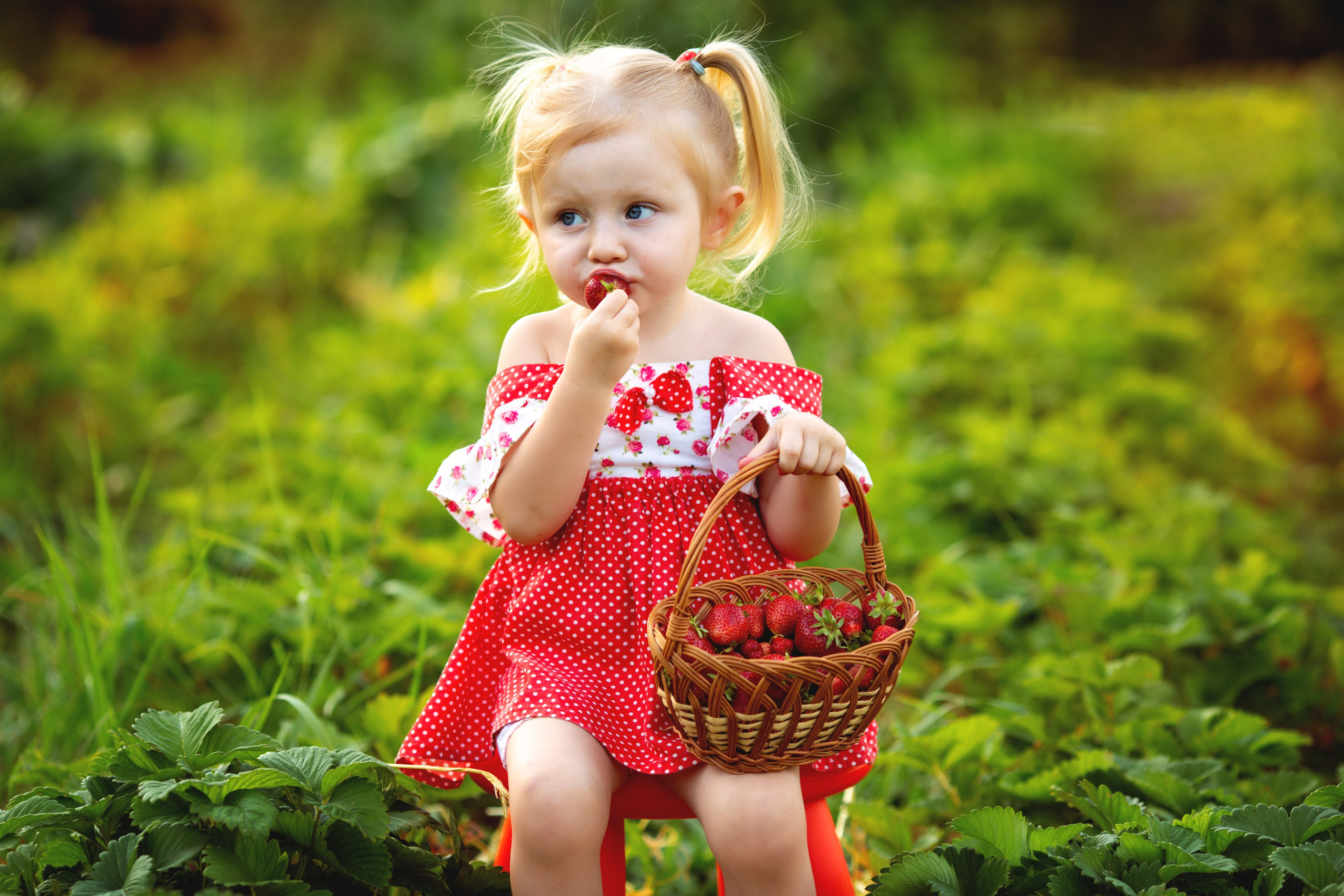 Викуля. Фотограф Антонина Свешникова. ВЫПУСКНЫЕ ФОТОКНИГИ для детских садов и школ. Москва, Владимир