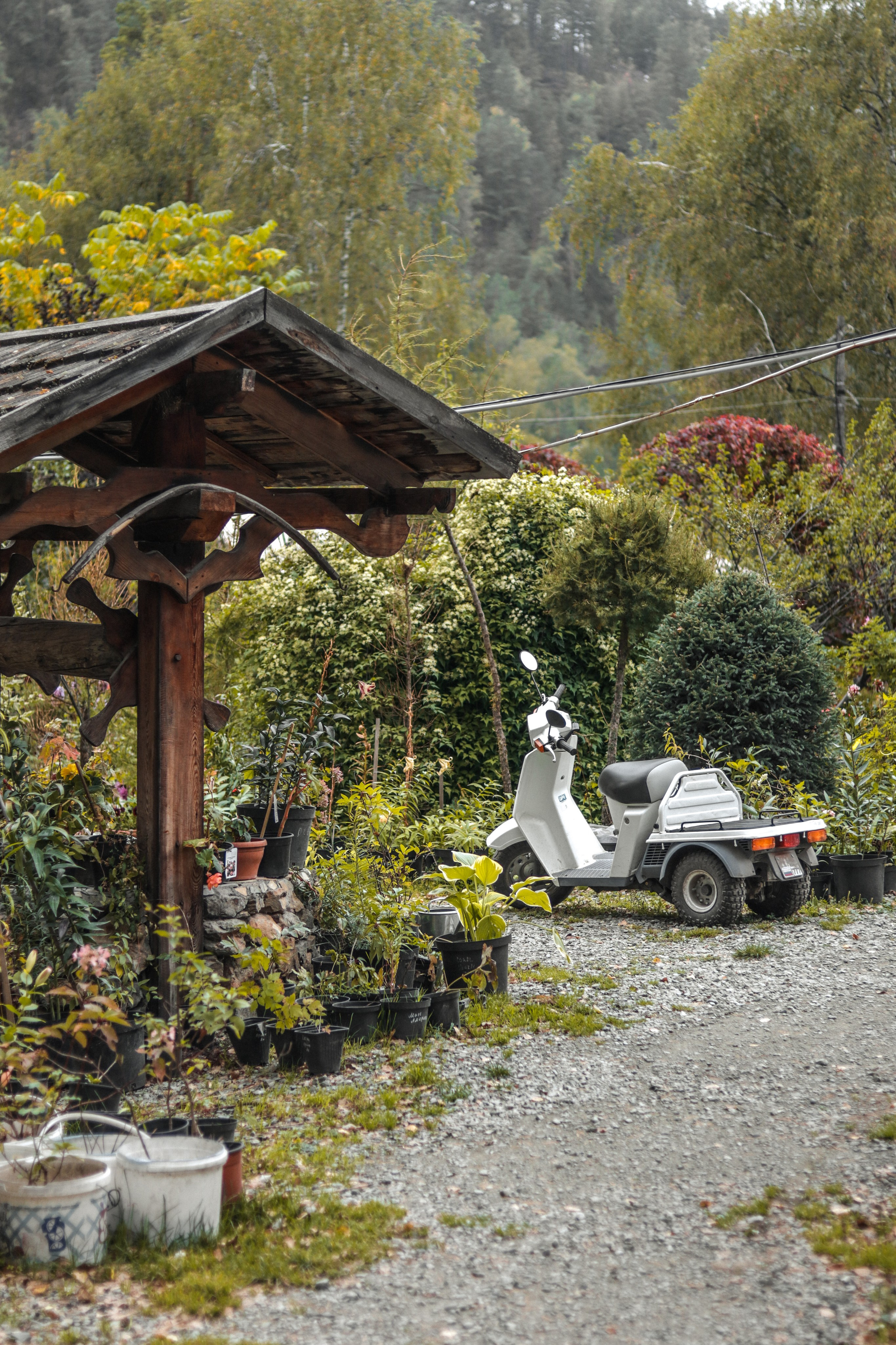 «Сад пионов» эко-отель, респ. Алтай. Контент фотограф Дмитрий Борисов