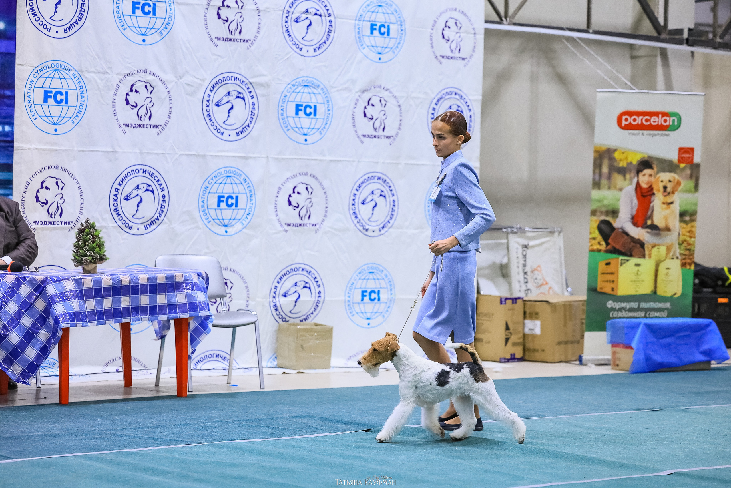 6-7.12.25 — 1-4 Национальные выставки собак в Новосибирске (2х рейтинговые). Фотограф Анималист из Новосибирска Татьяна Кауфман