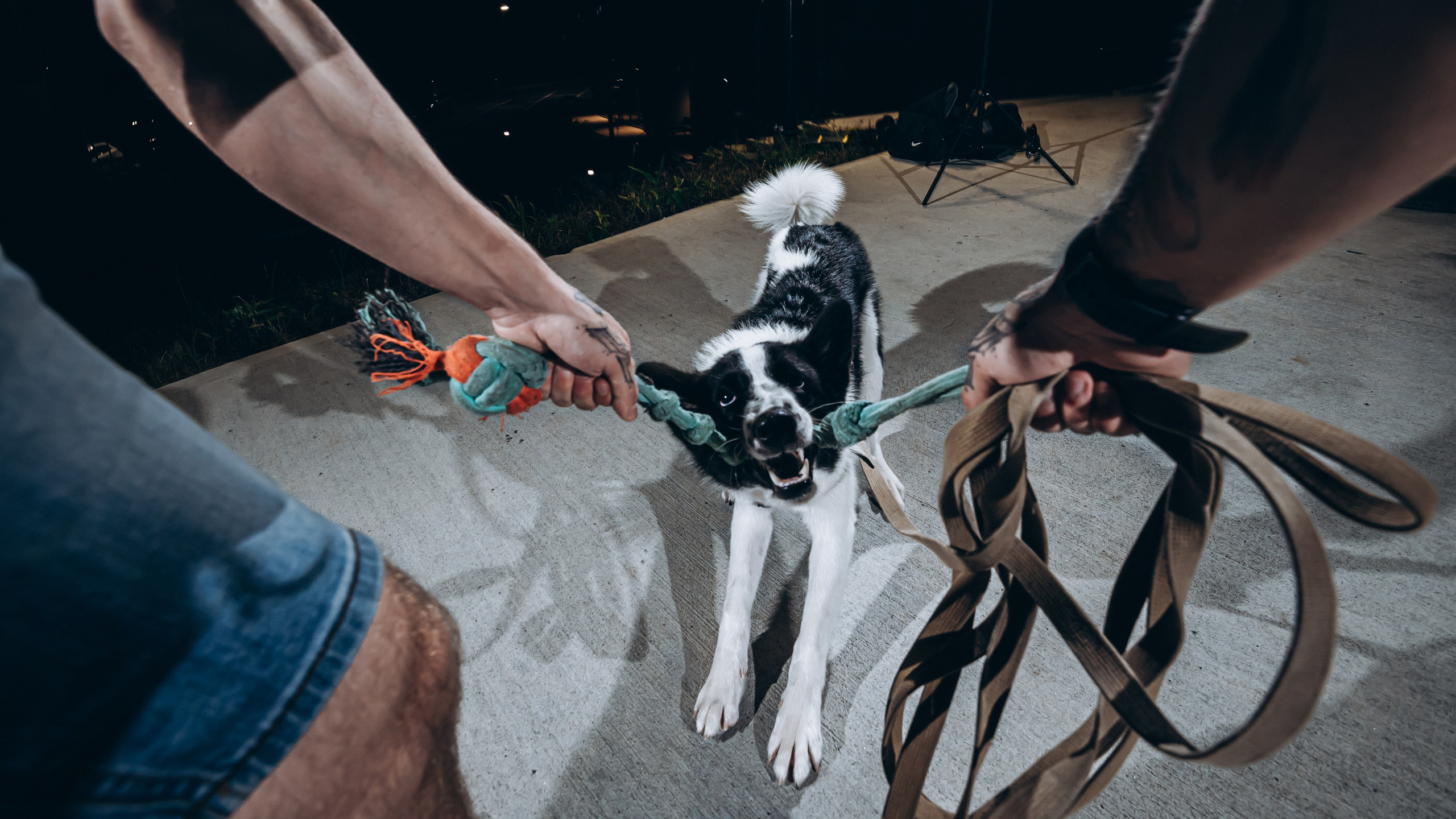 Юра. Фотограф в Благовещенске Андрей Сенченко