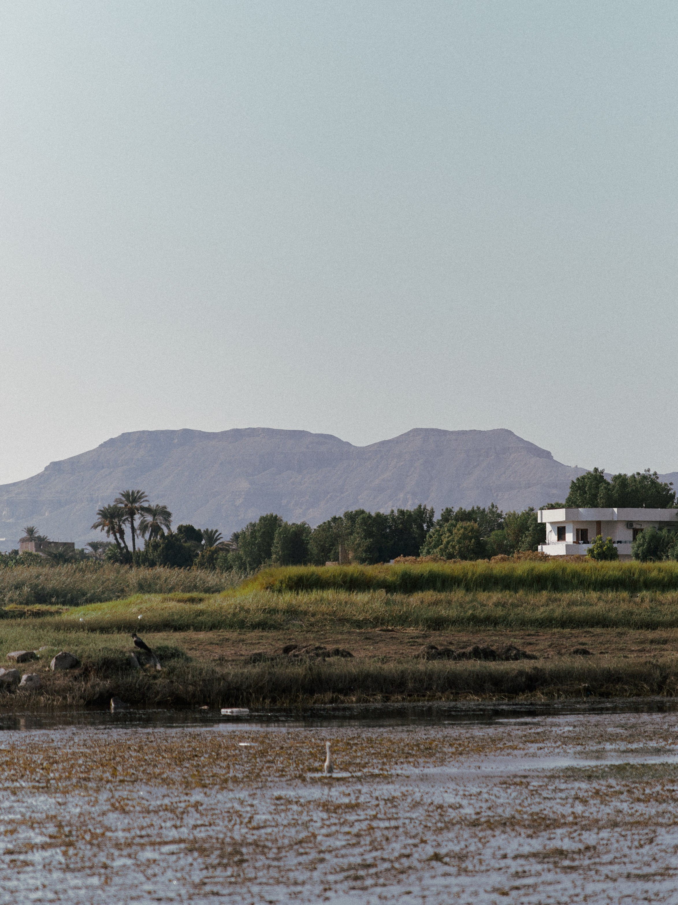 Диптих. Jorgis — фотограф в Хургаде / обучение фотографии