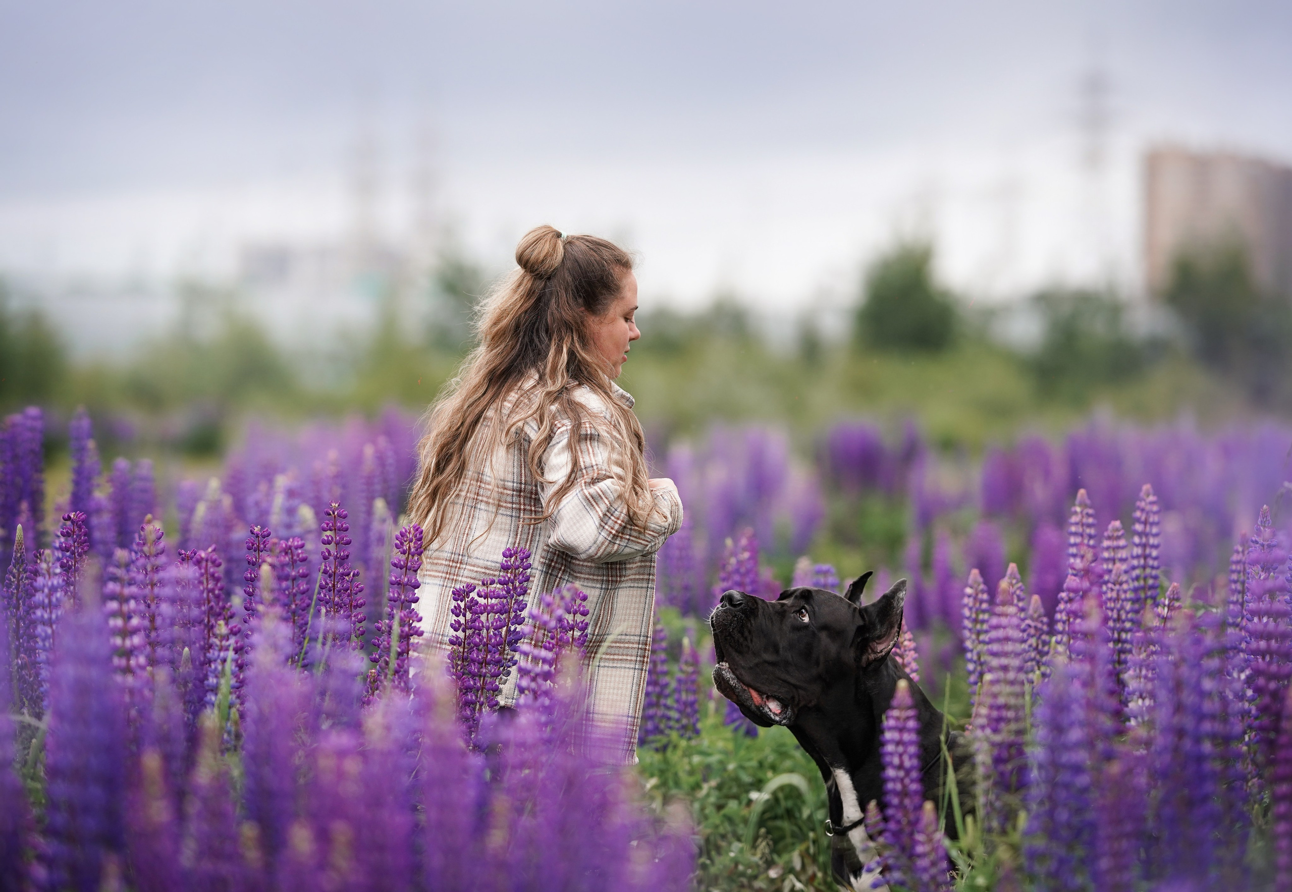 Вика и Трофей люпины. Фотограф-анималист в Санкт-Петербурге Яна Мартынова