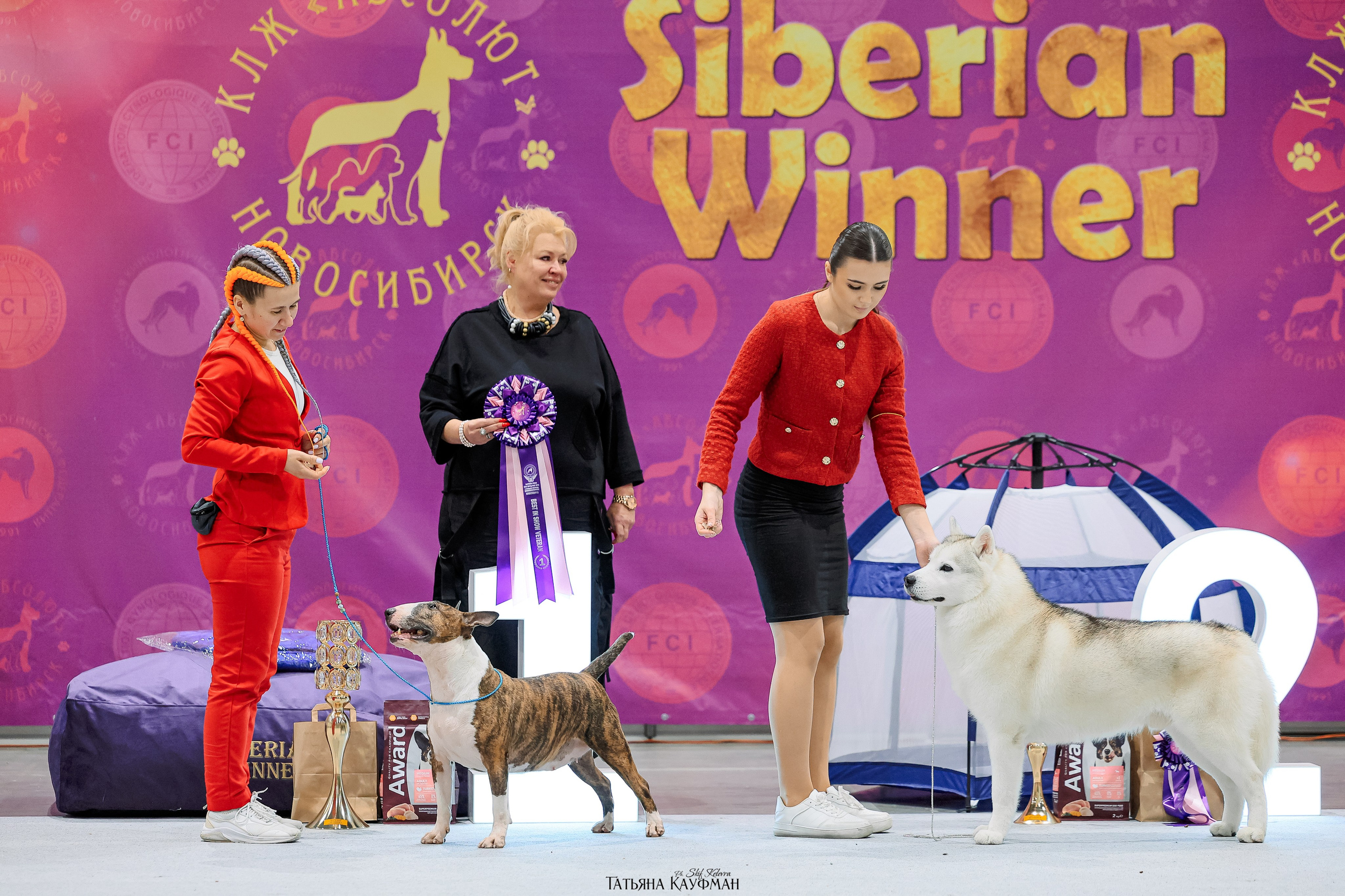28-29.03.2026 Рейтинговая выставка в Новосибирске. Фотограф Анималист из Новосибирска Татьяна Кауфман