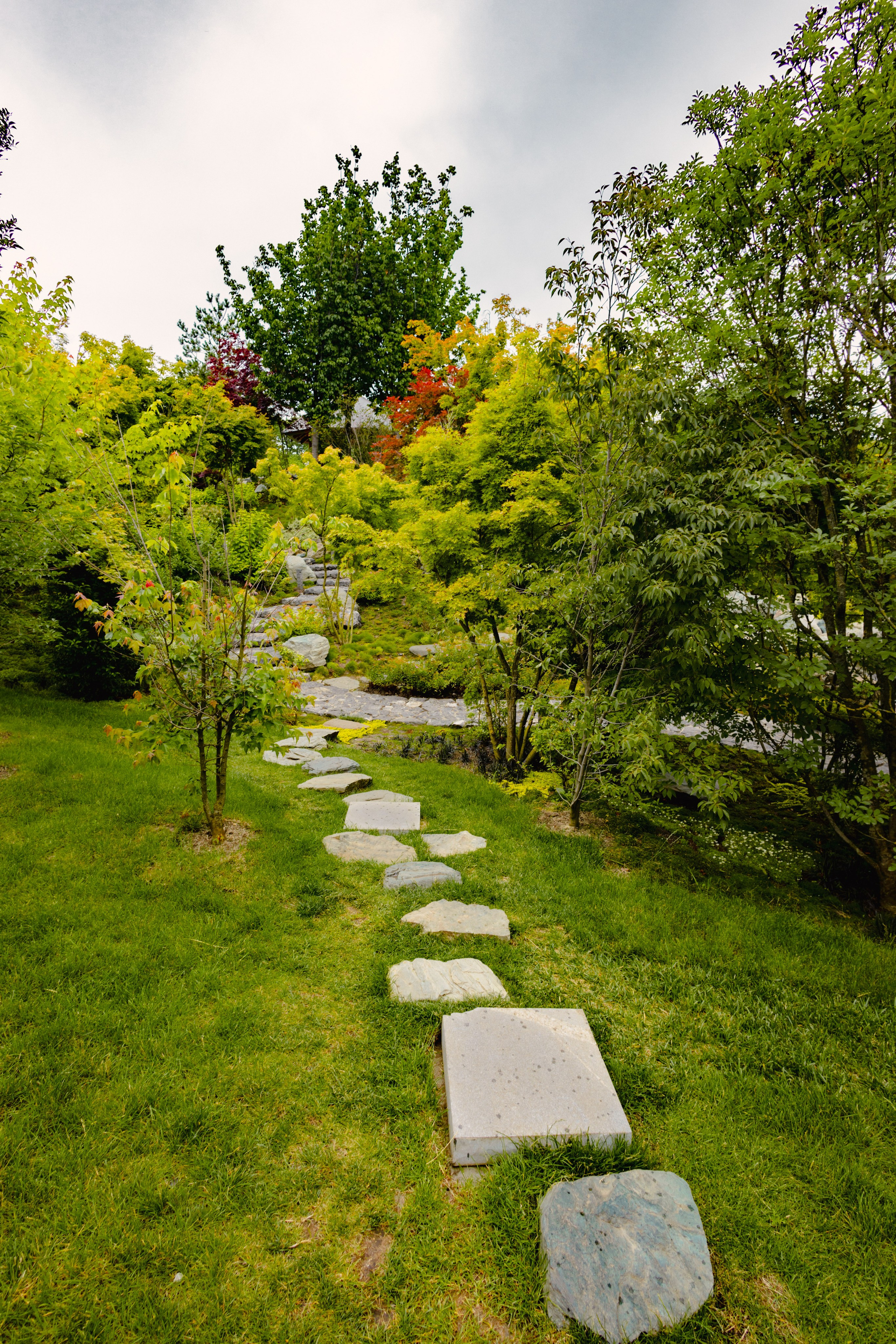 Японский сад в Краснодаре. Профессиональный фотограф и видеооператор