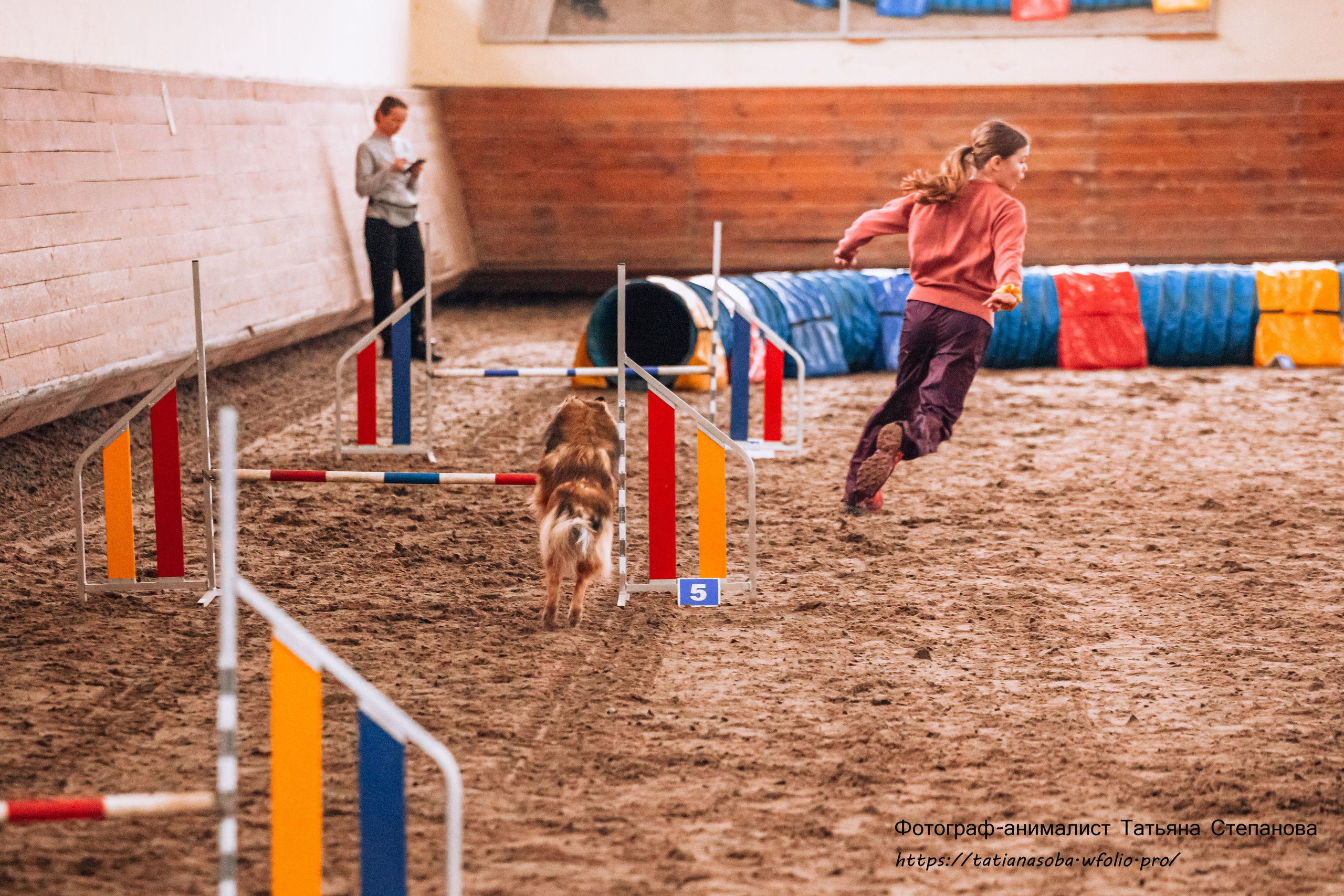 Соревнования по Аджилити 25.02.2024. Фотограф-анималист Татьяна Степанова