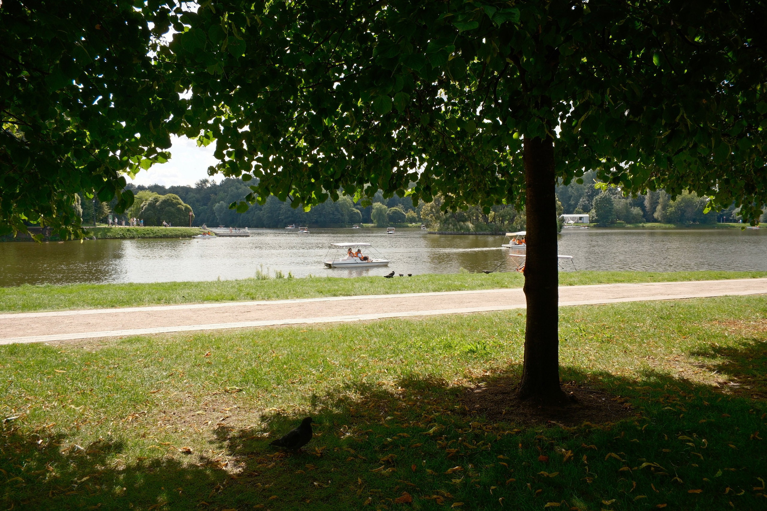 Царицыно 10.08.2025. Улица, люди, жизнь…