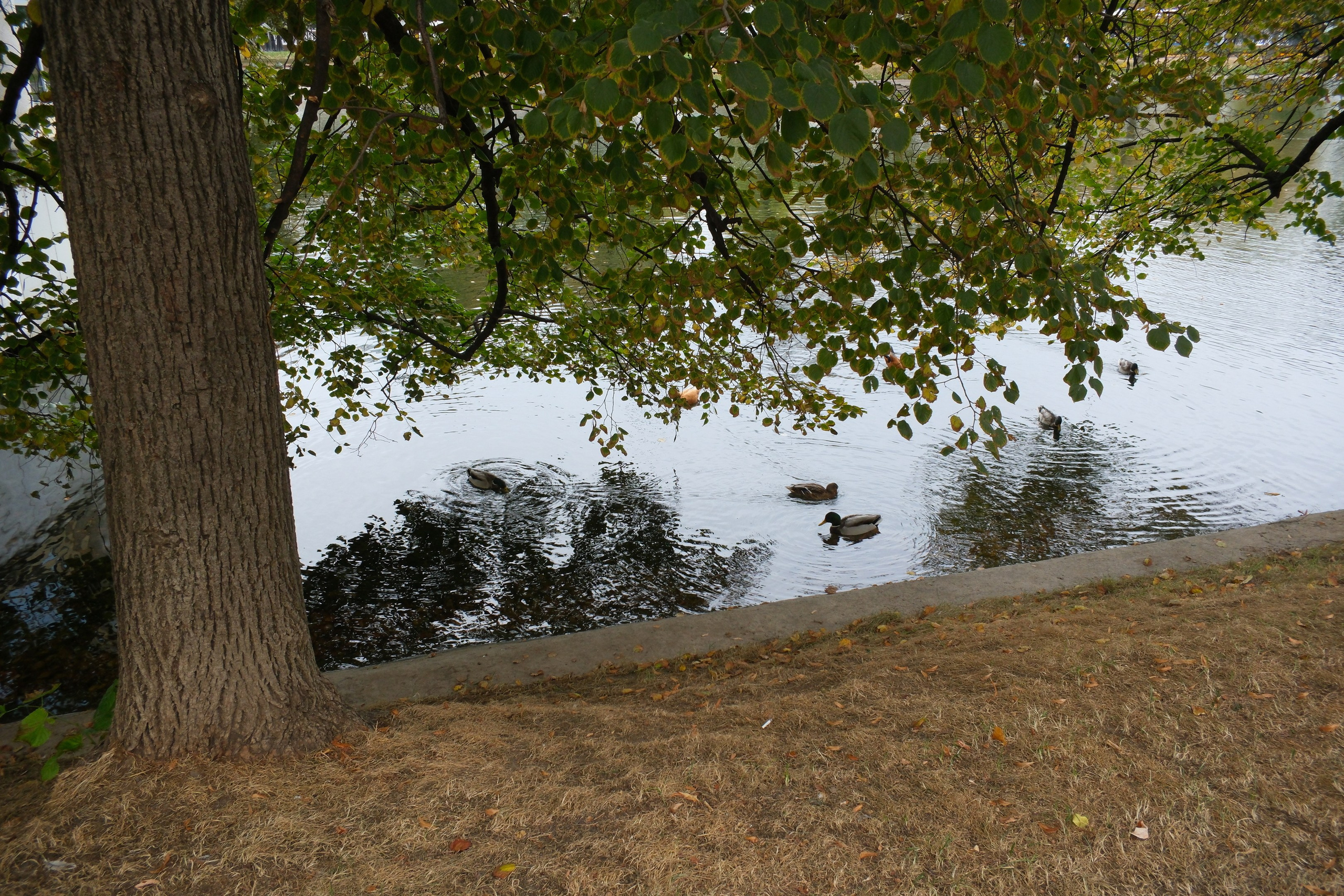 Сентябрь 2025. Улица, люди, жизнь…