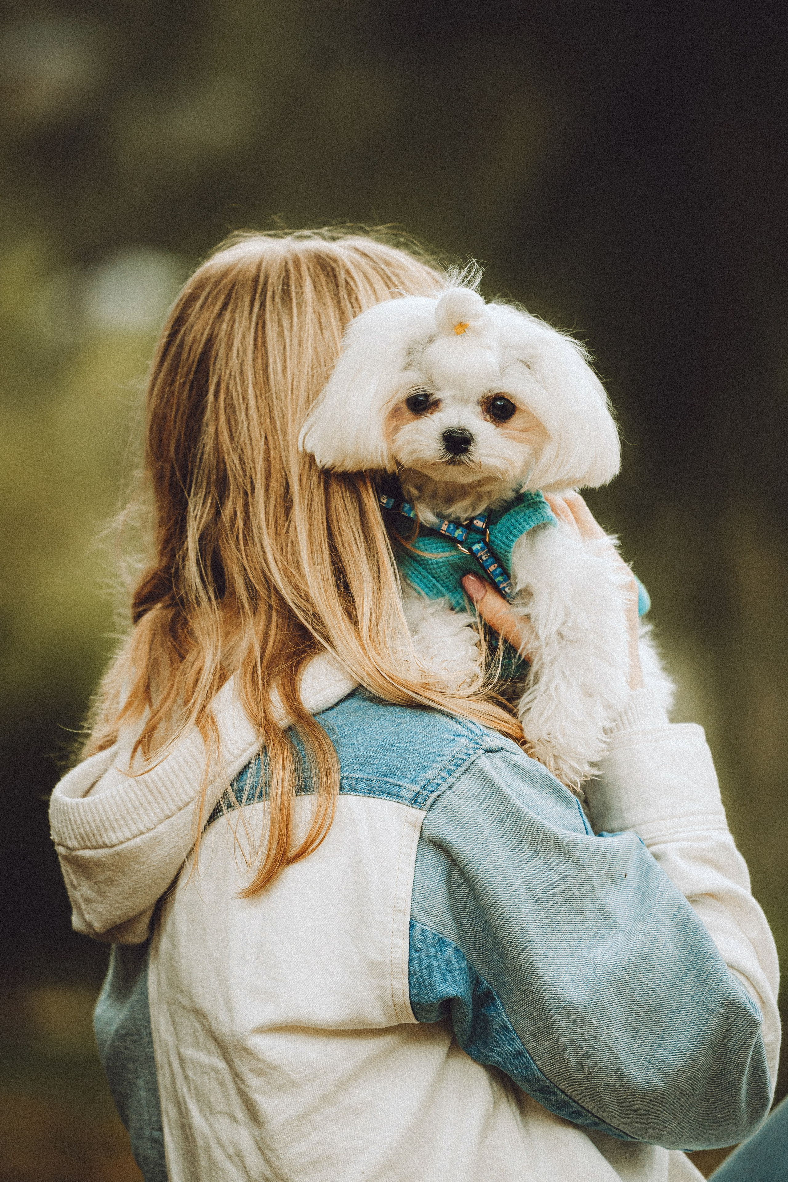 Настя и Гоша