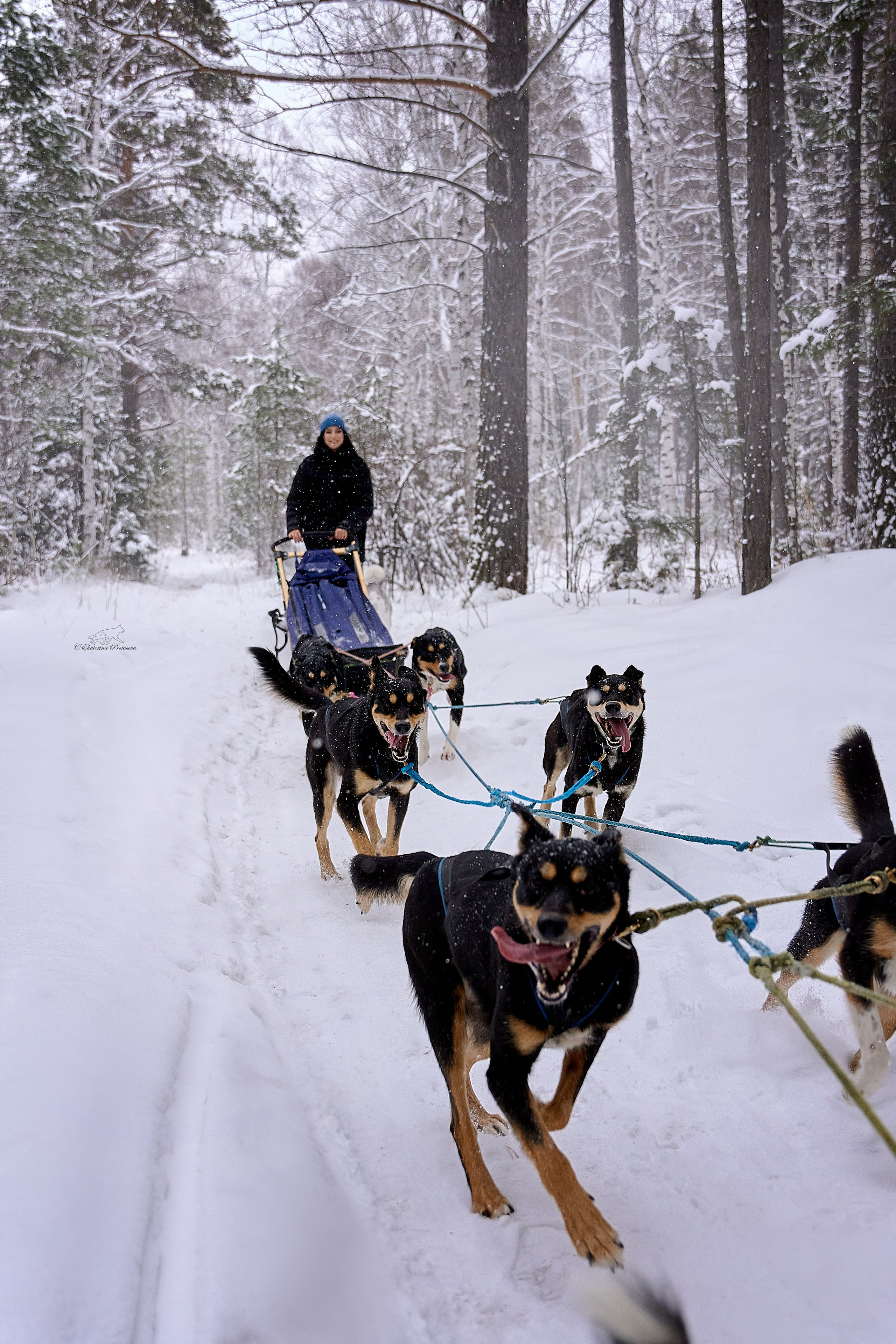 Обо мне. Фотограф-анималист в Иркутске