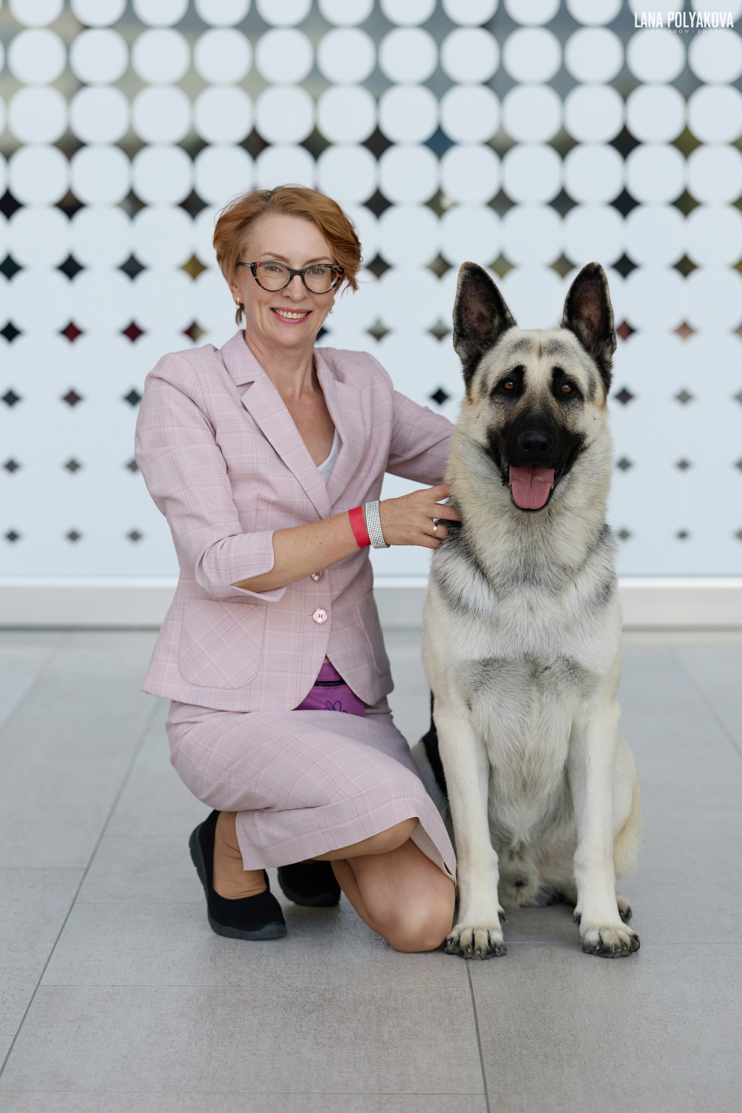 Как подготовить собаку к выставке: чек-лист для фото. ФОТОГРАФ-АНИМАЛИСТ l LANA POLYAKOVA