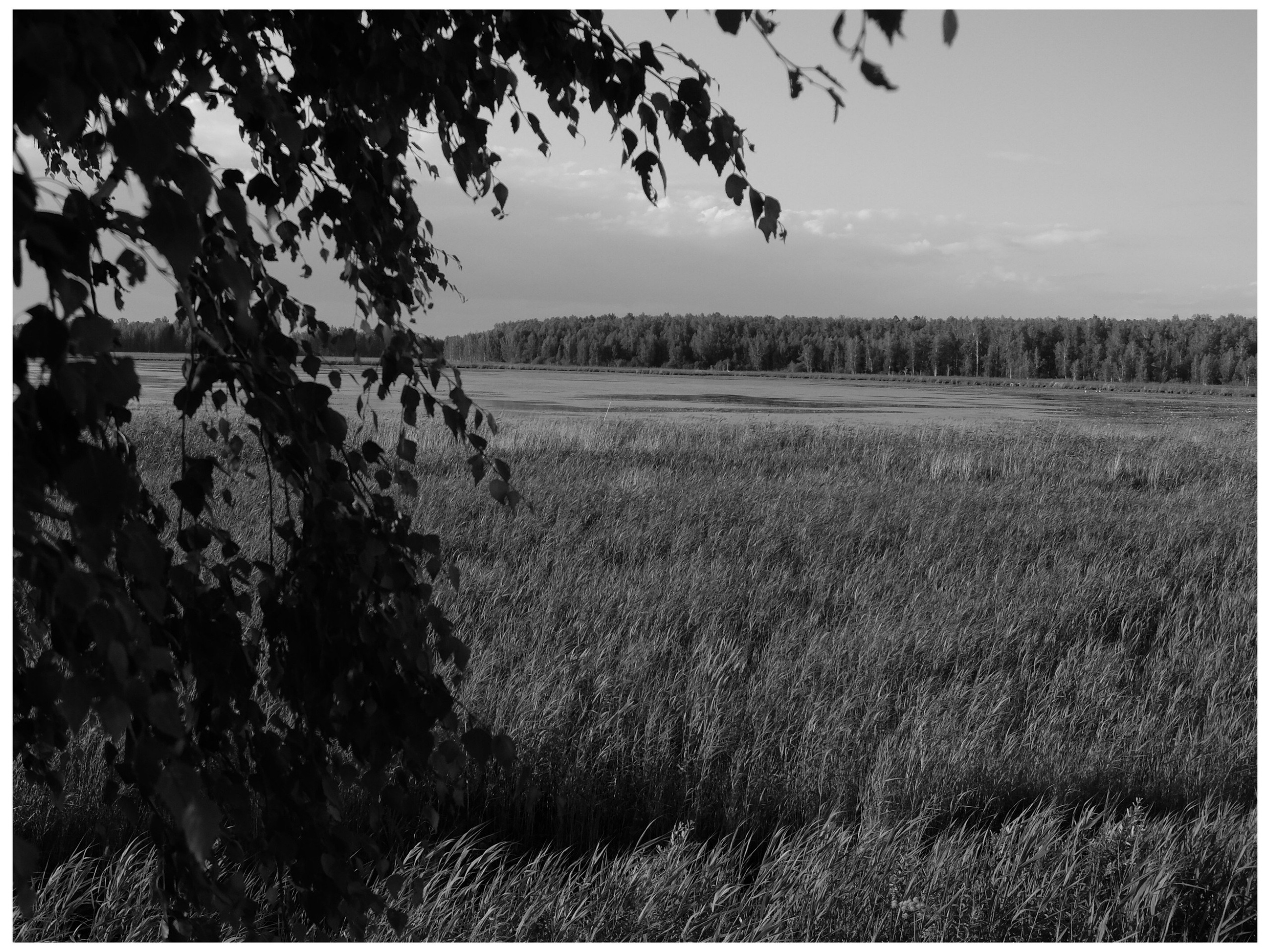 Промежуточные моменты (2022)