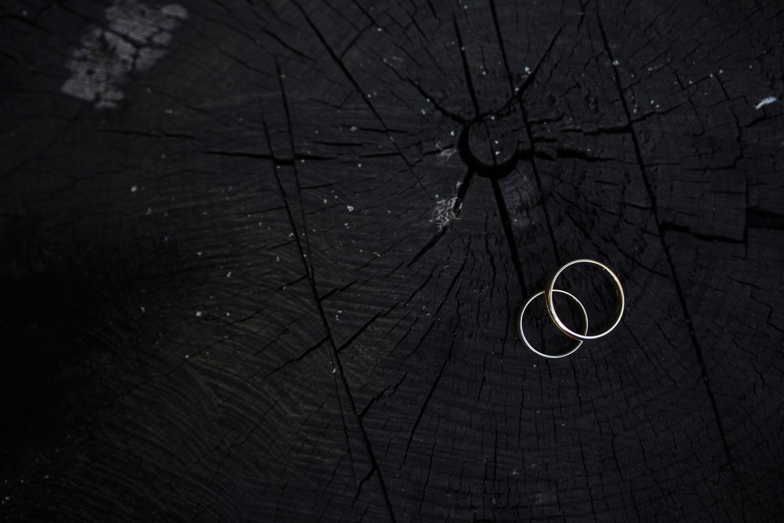 Свадебный фотограф в Москве Тёма Савостиков