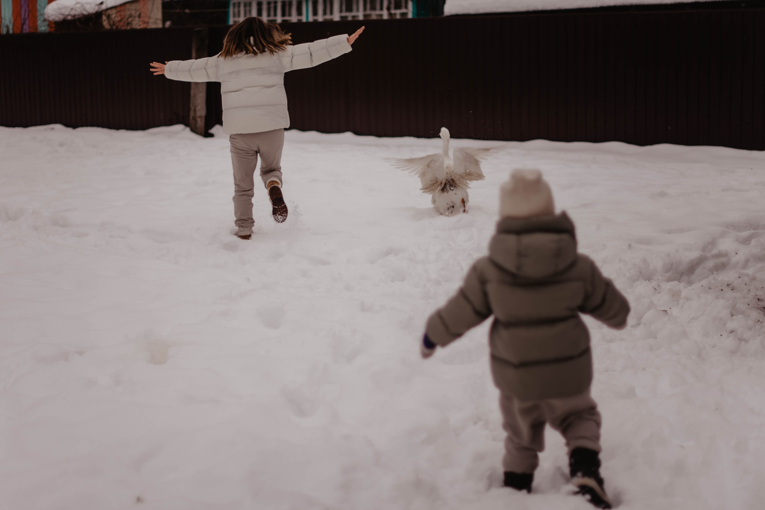 Настя, Саша и Мотя. Свадебный фотограф Оля Григунова