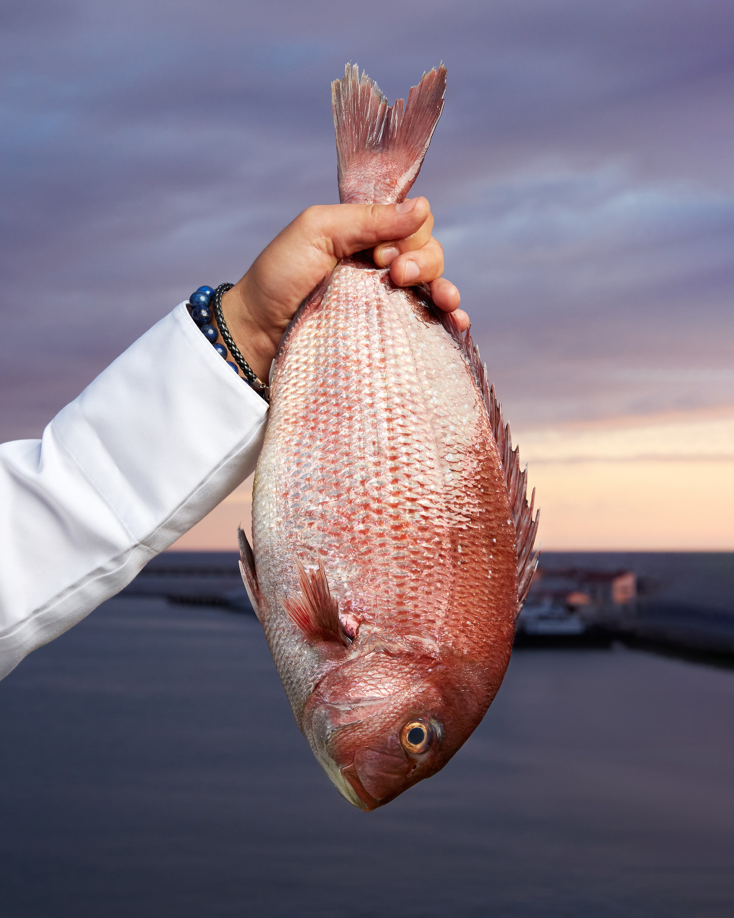 Азиз Саффар. Главная