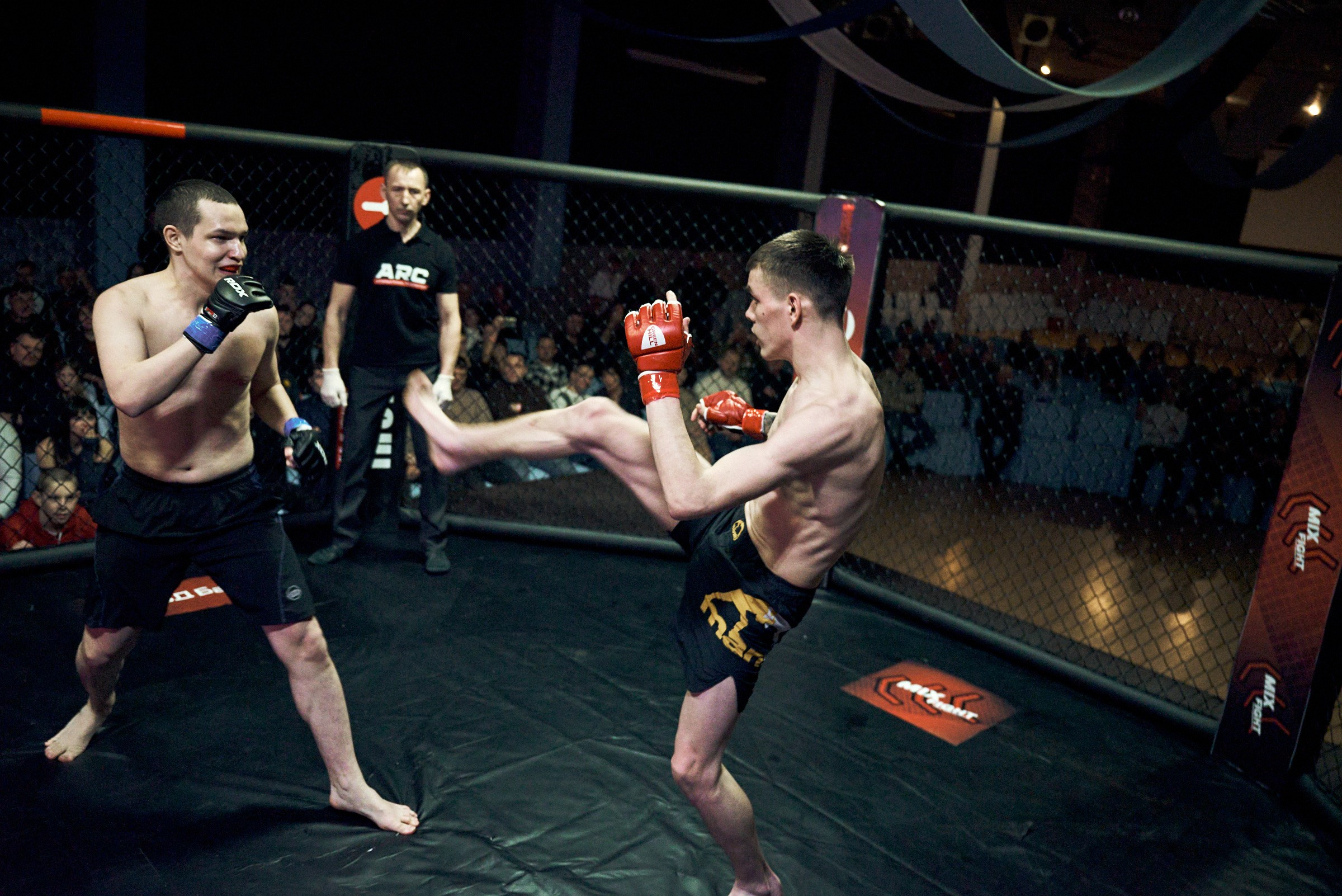 Бои. Маляревич Дмитрий свадебный фотограф