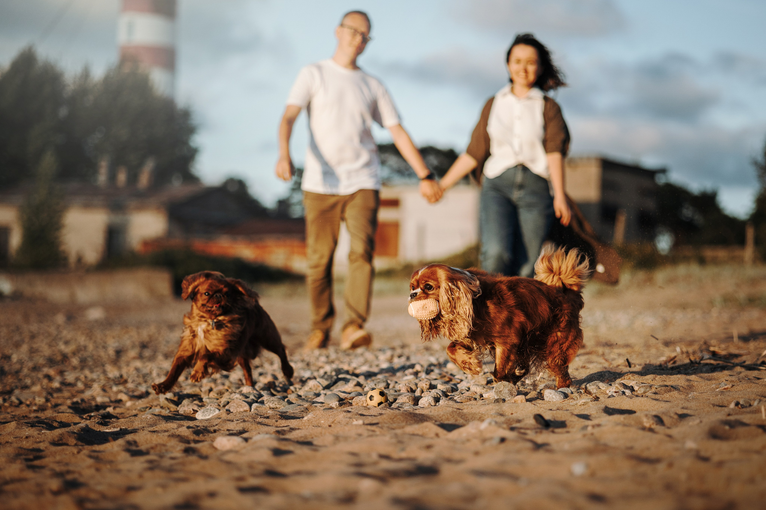 Верон, Гарри и их семья. Фотограф — Анималист | Санкт-Петербург