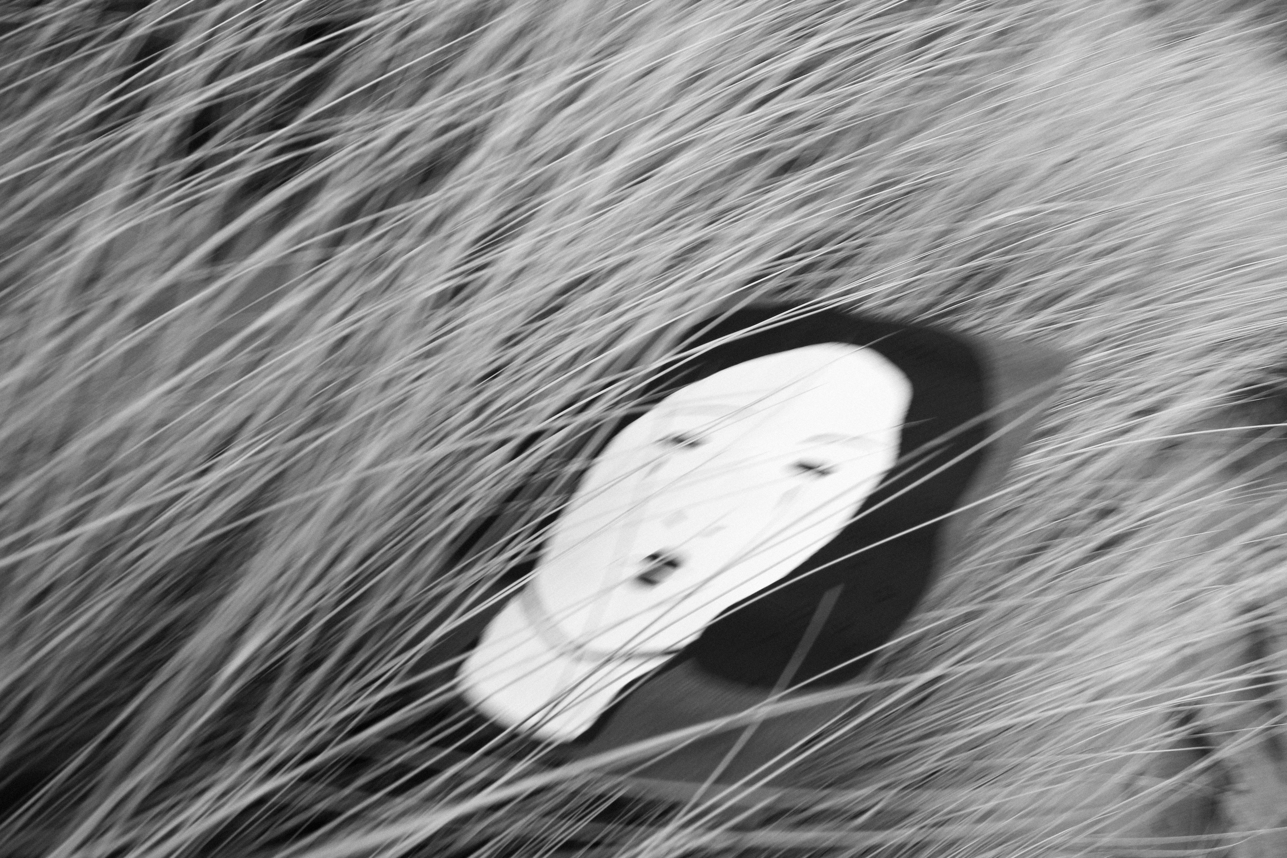 No Face Project. Portfolio Birdcrush