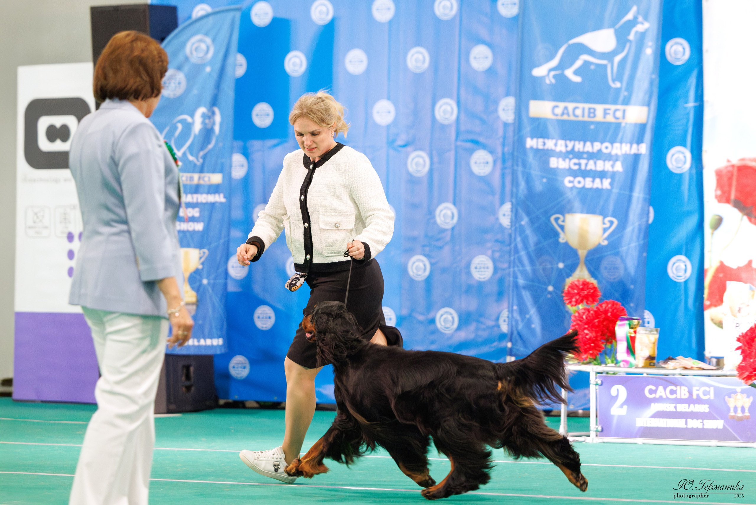 Минск 31.05-1.06.2025. Фотограф-анималист Юлия Германика