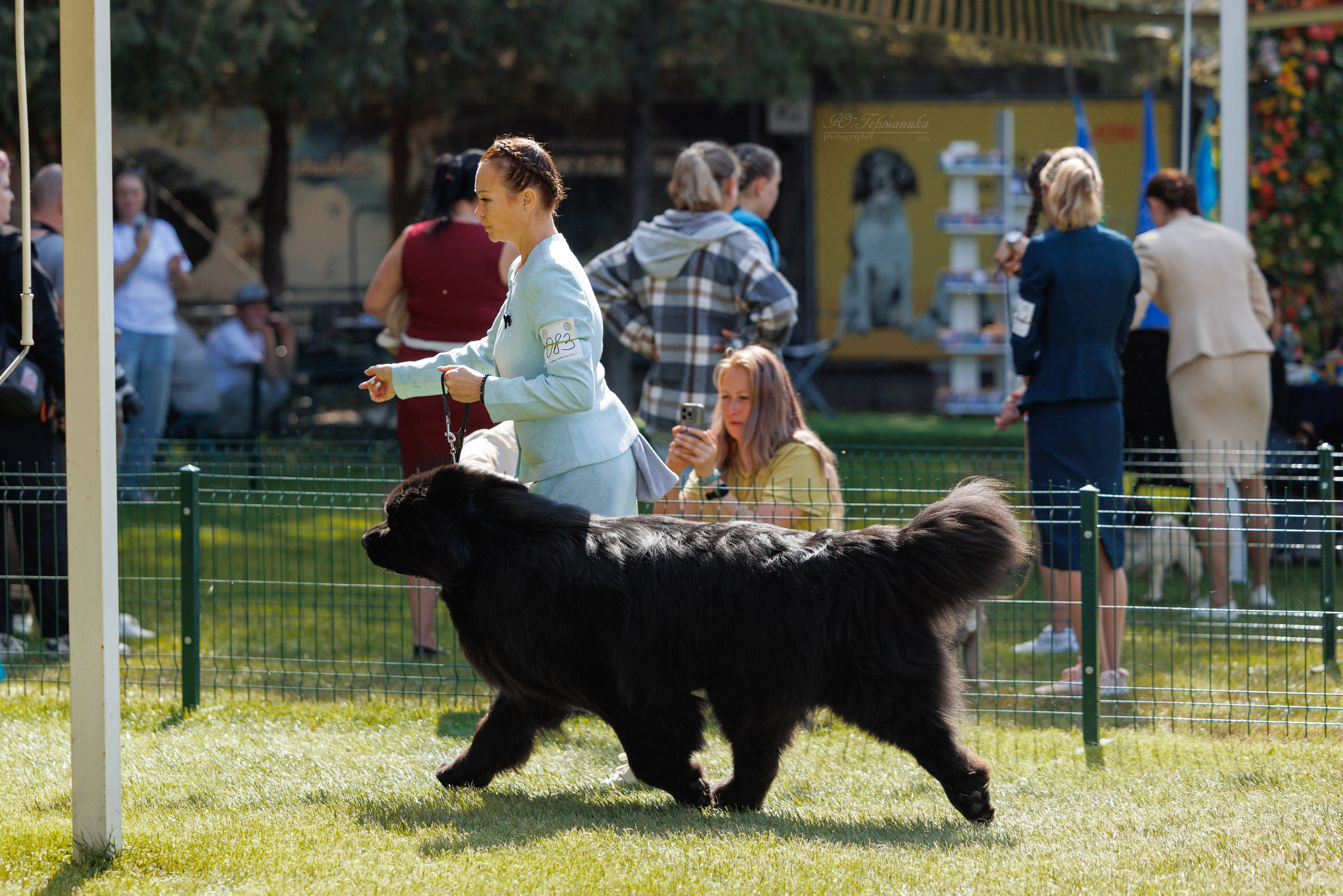 Бишкек 3х CACIB 26-28.09.2025. Фотограф-анималист Юлия Германика