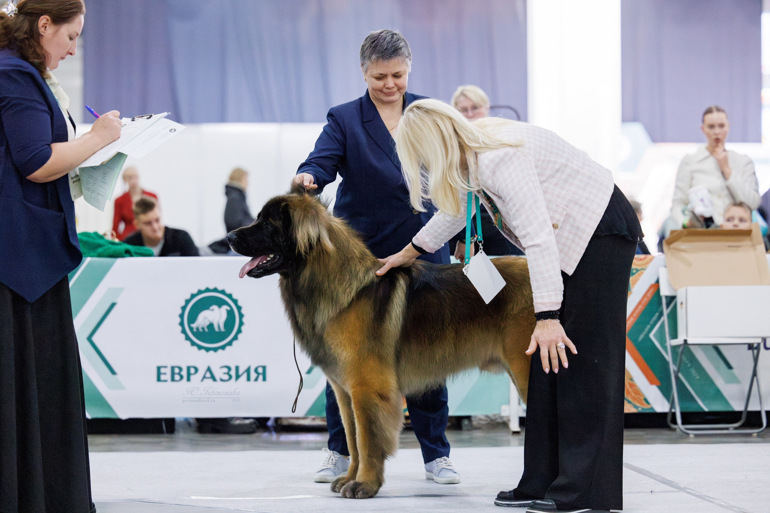 Евразия 16-17.11.2024. Фотограф-анималист Юлия Германика