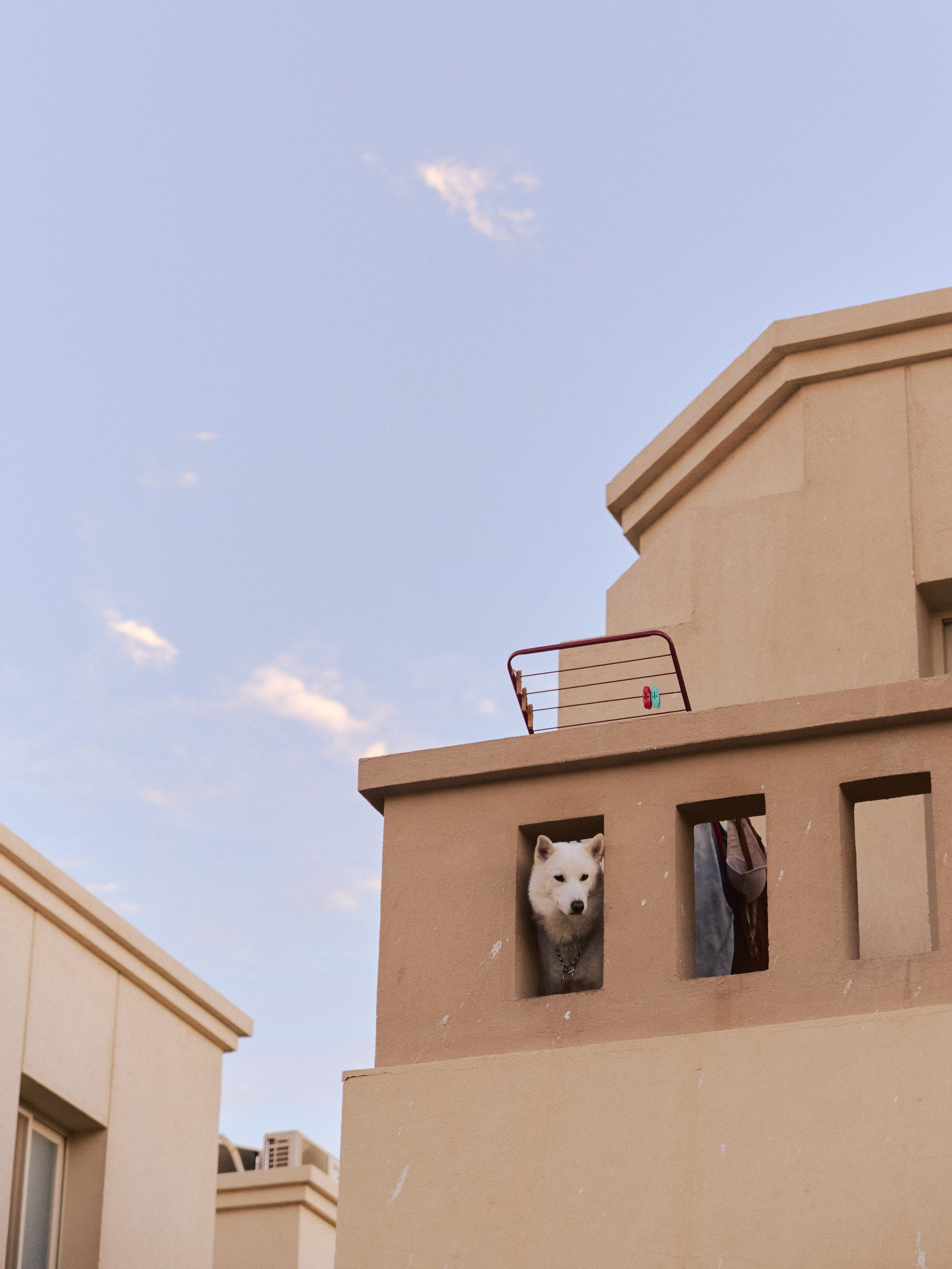 Архитектура. Jorgis Talè — photographer, kind person, teacher of arts and other mag