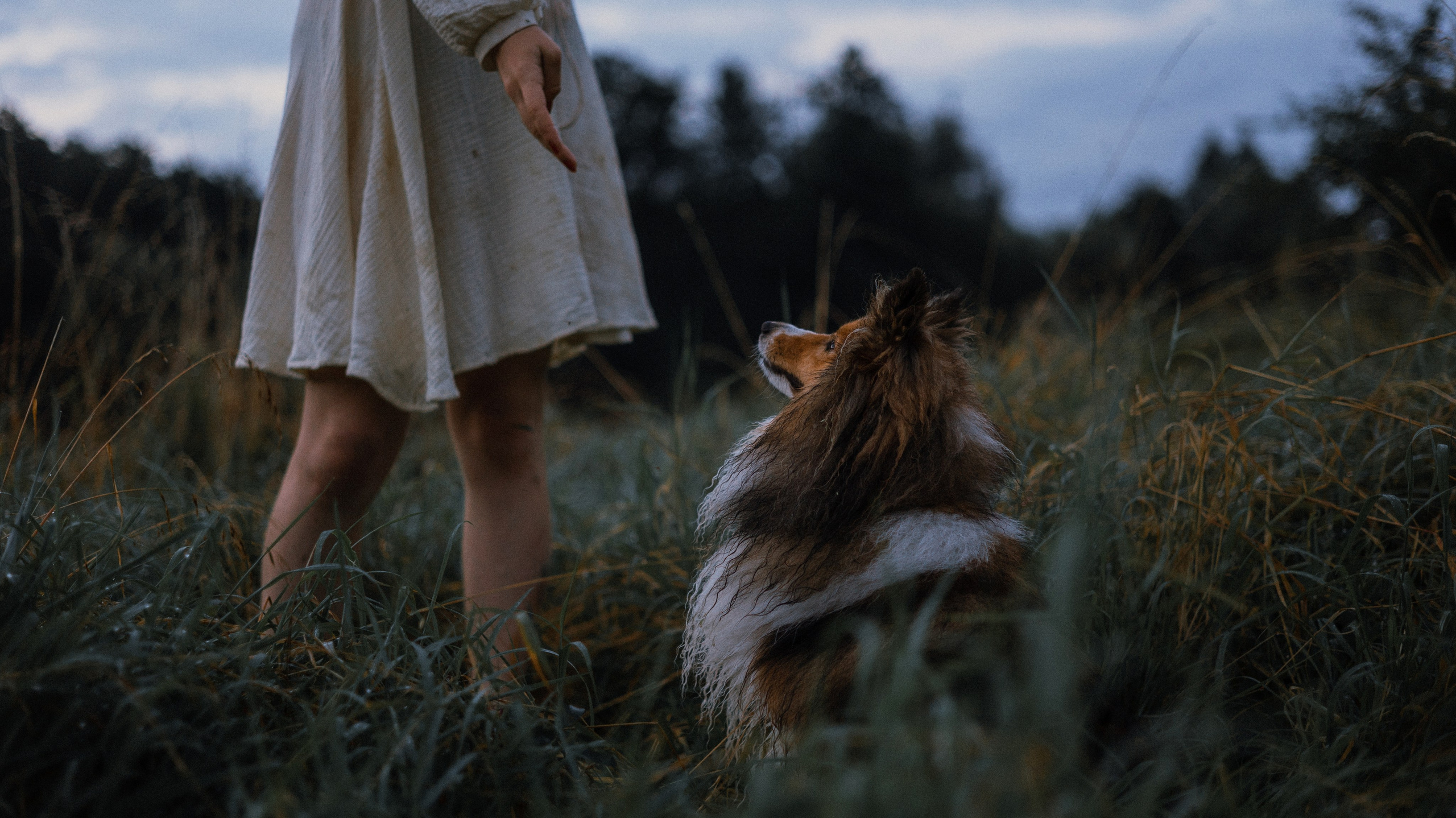 Аня и Скай. Фотограф-анималист Богданова Полина
