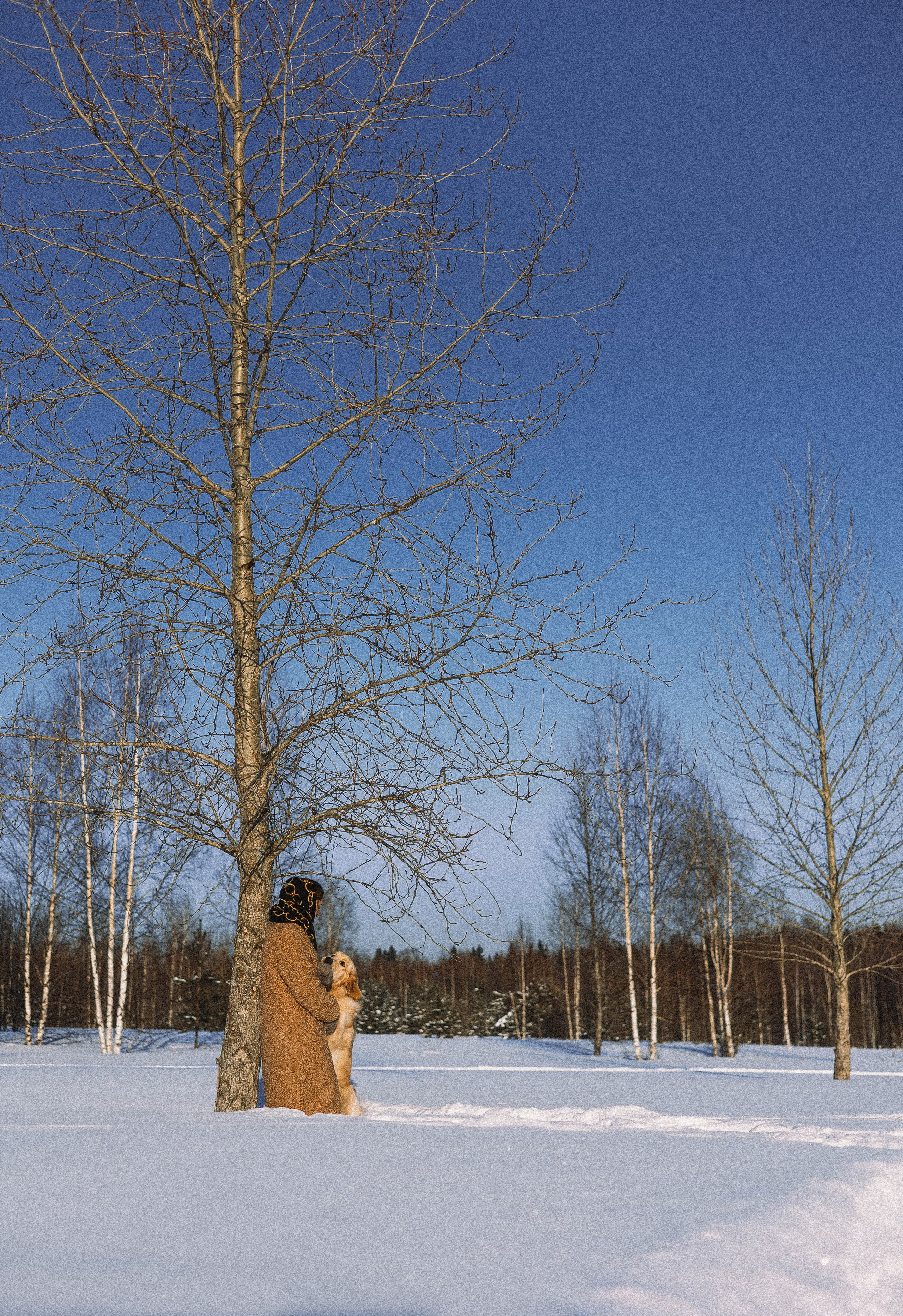 Лена и Декстер. Фотограф-анималист Богданова Полина