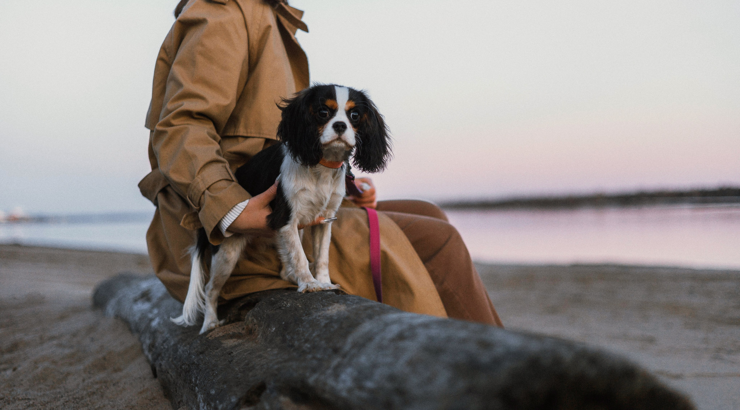Ангелина и Йен. Фотограф-анималист Богданова Полина
