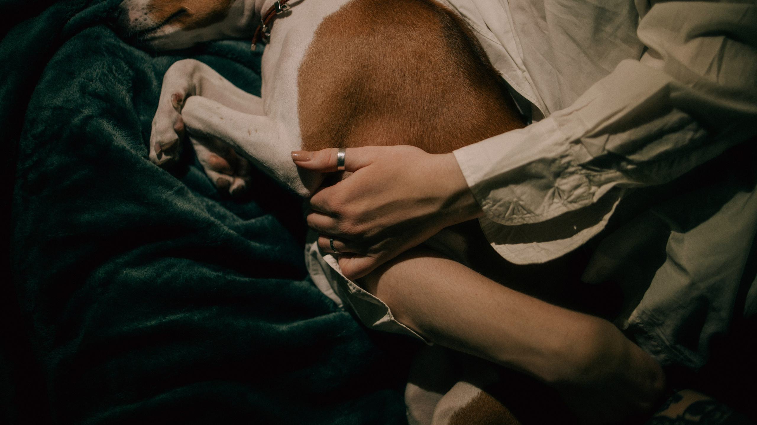 Люба, Никита и Бахати. Фотограф-анималист Богданова Полина