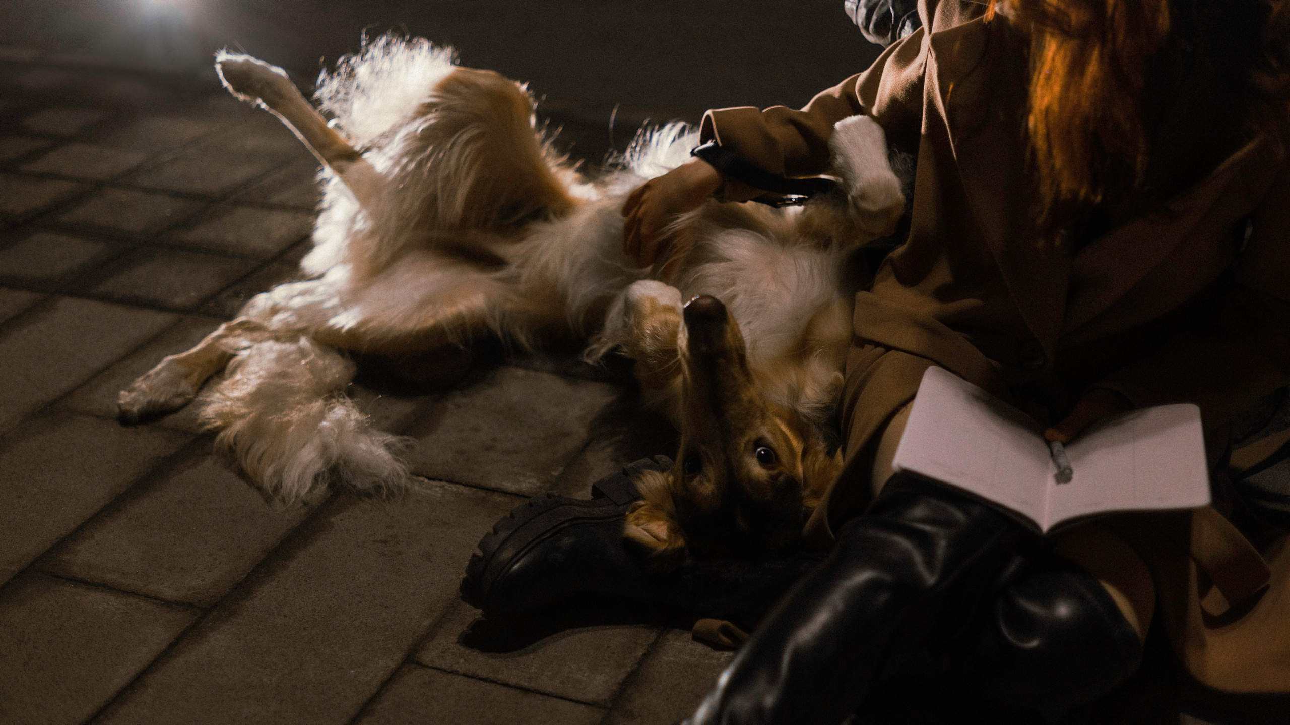 Алёна и Леви. Фотограф-анималист Богданова Полина