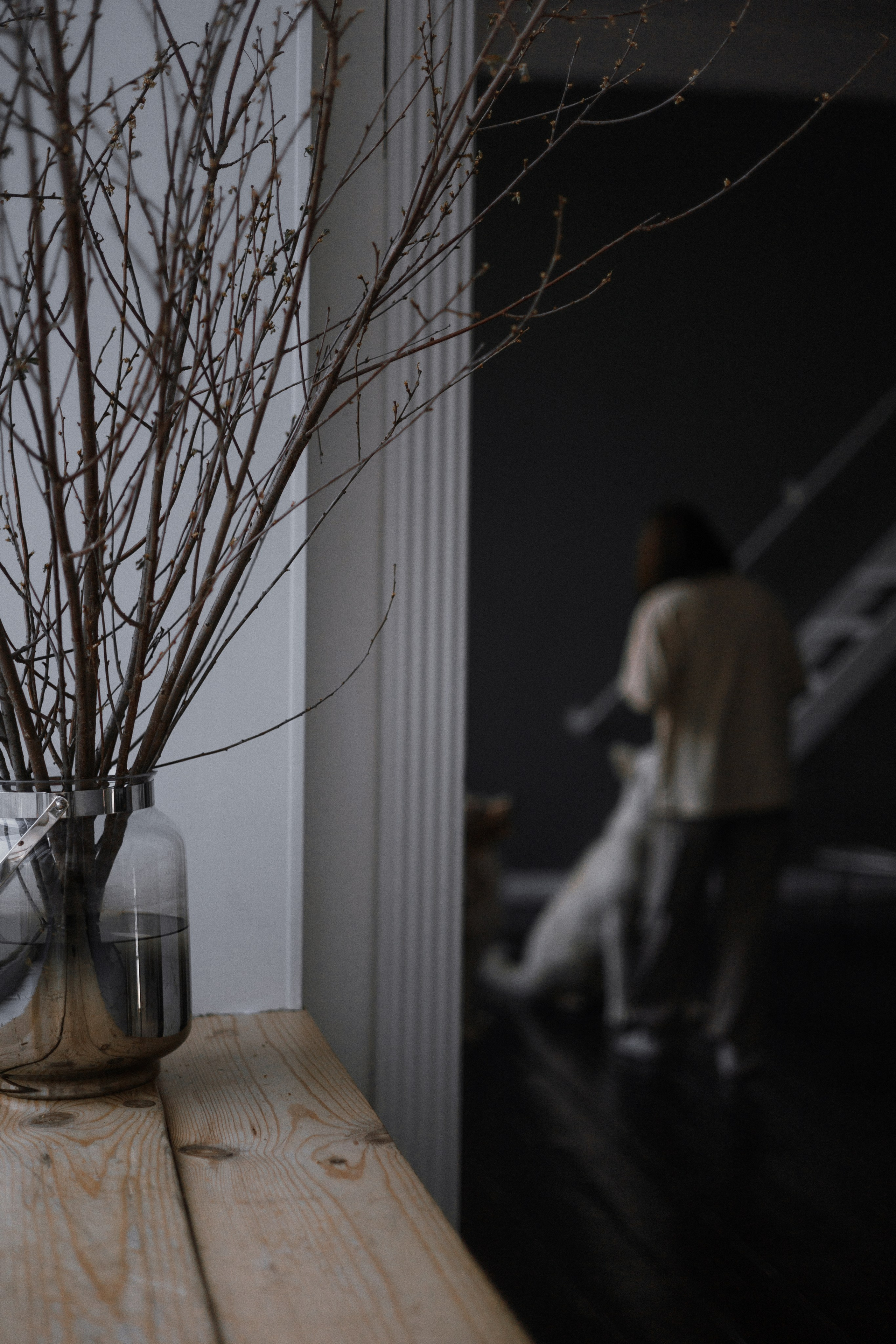 Аня, Дэймон и Грэй. Фотограф-анималист Богданова Полина