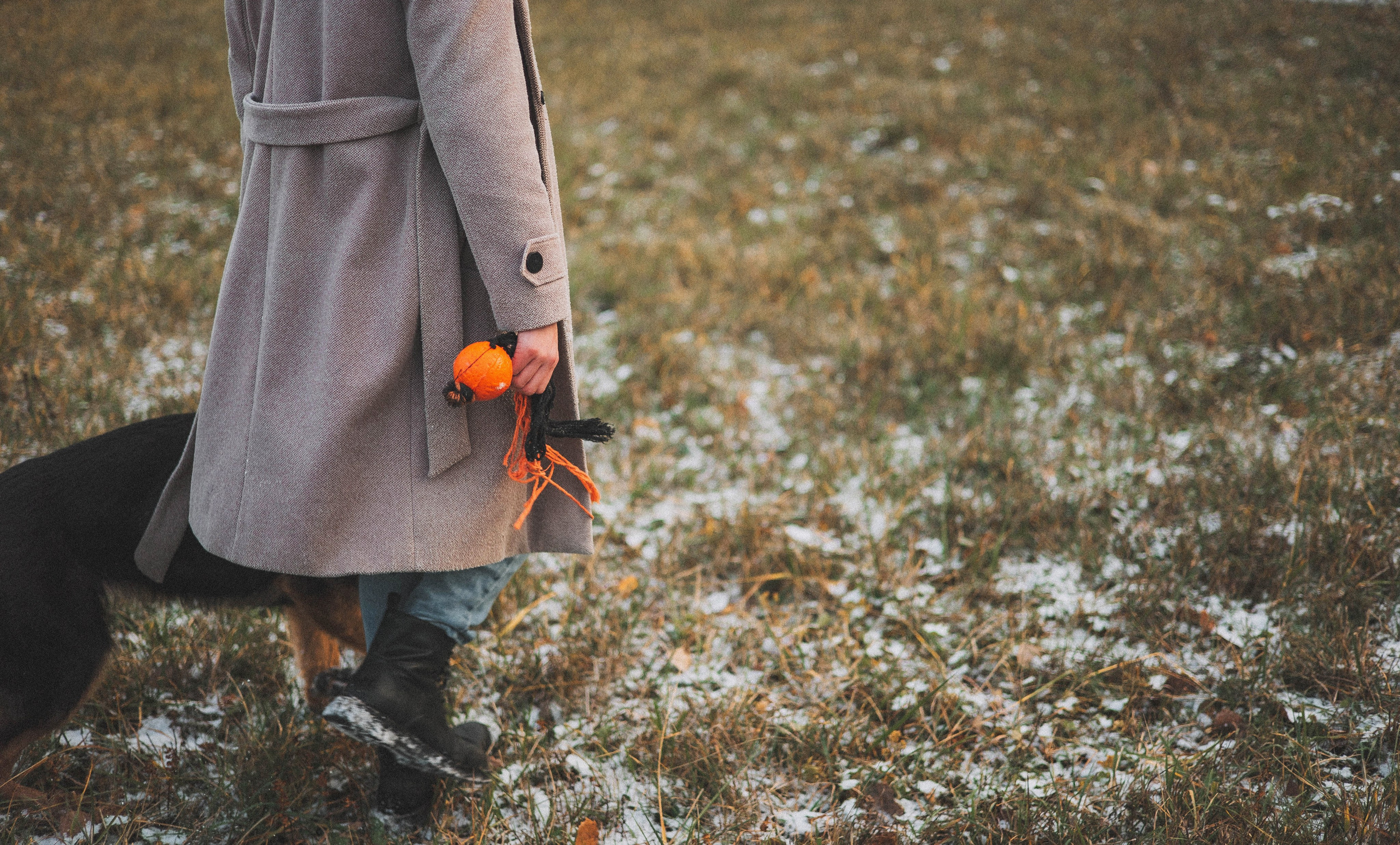 Алена, Леви и Микаса. Фотограф-анималист Богданова Полина