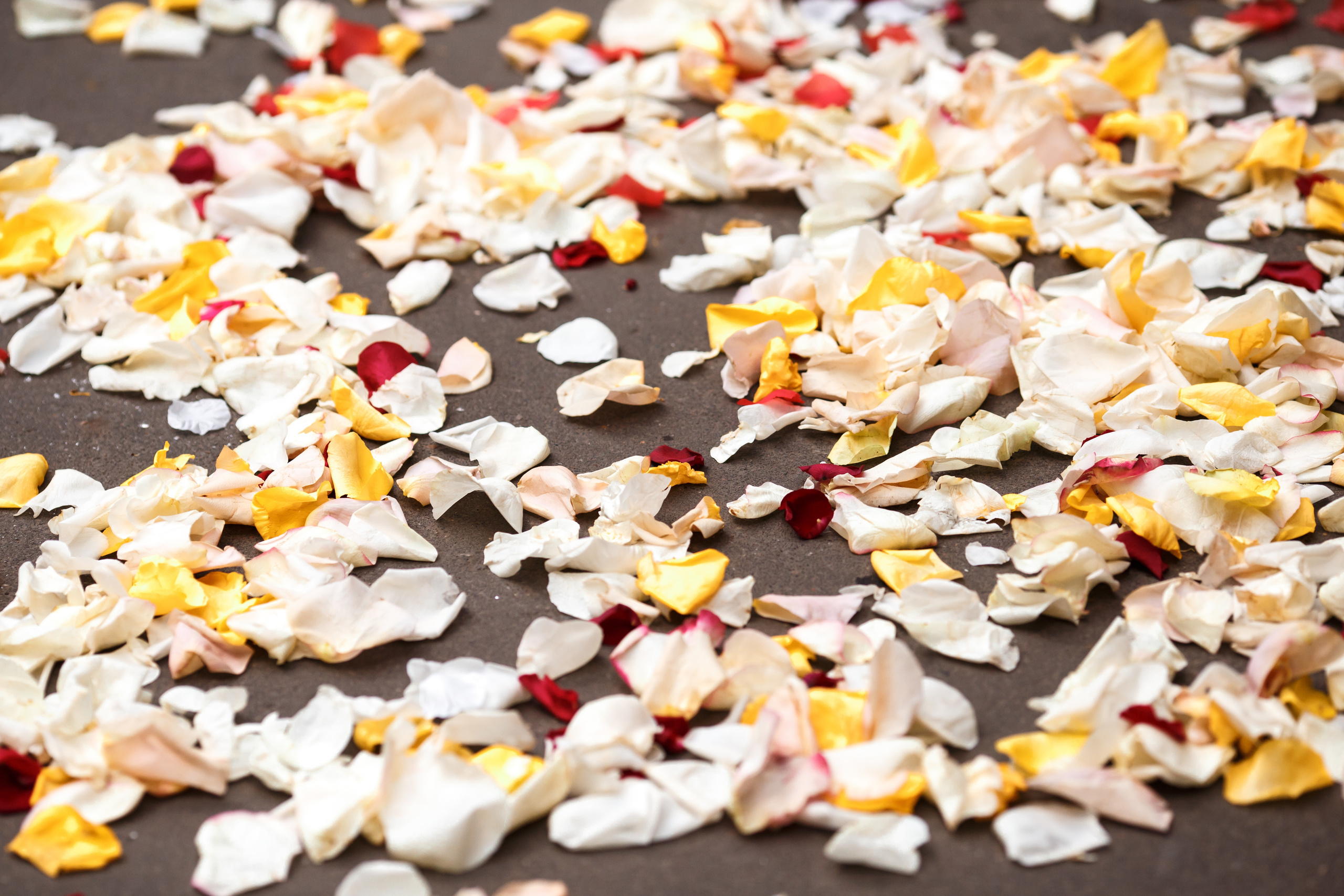 Юлия и Игорь, ЗАГС Кузьминки, ресторан Detol. Свадебный и репортажный фотограф (Москва, Королев и другие)