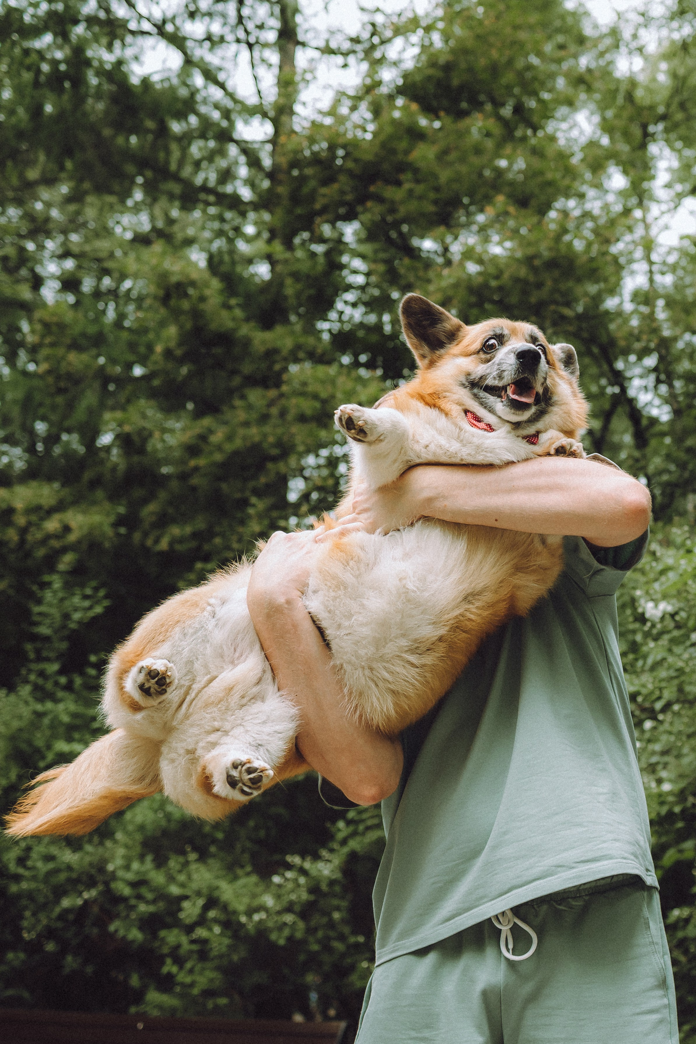 Ира, Леша и Харли