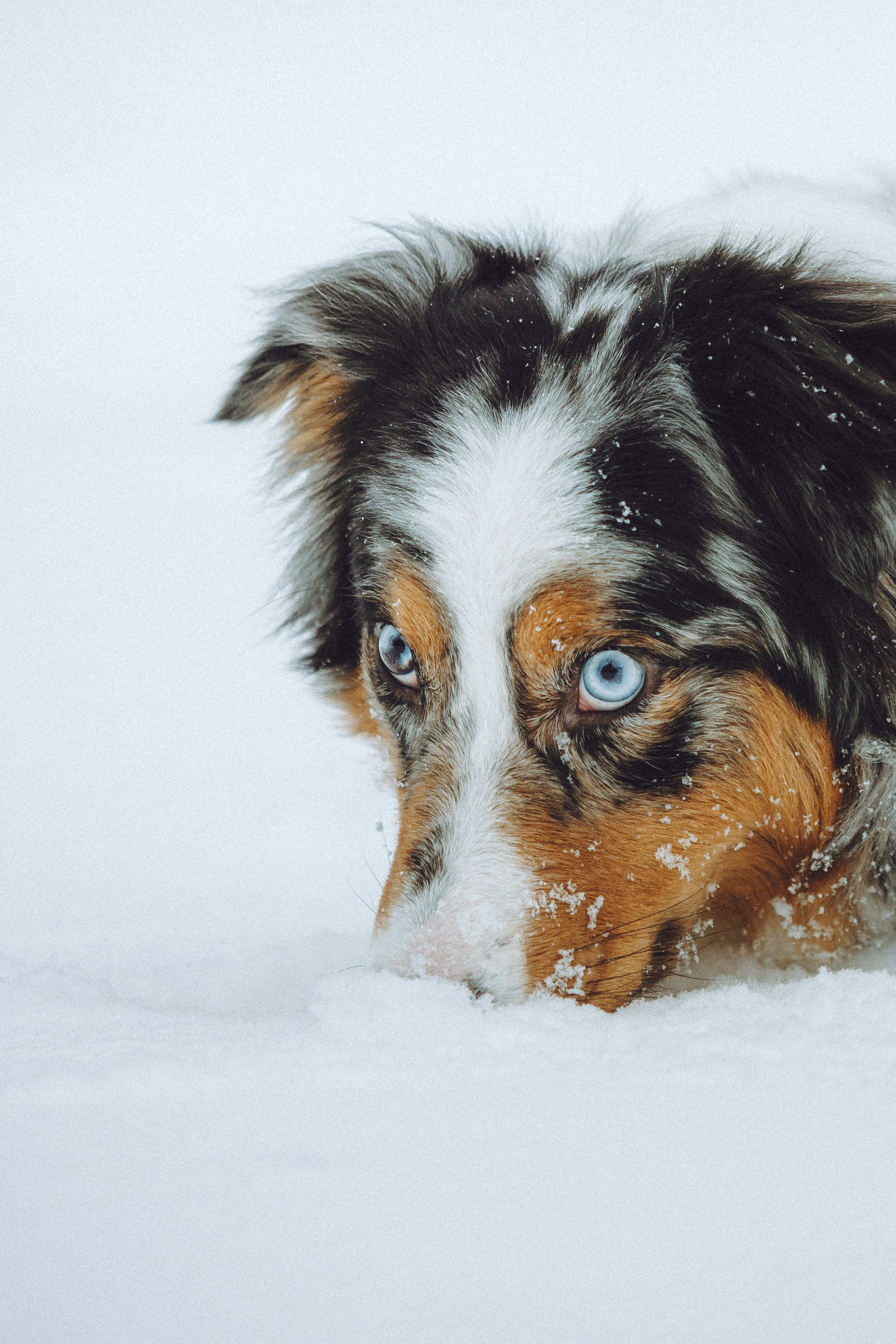 Фаня и ее семья