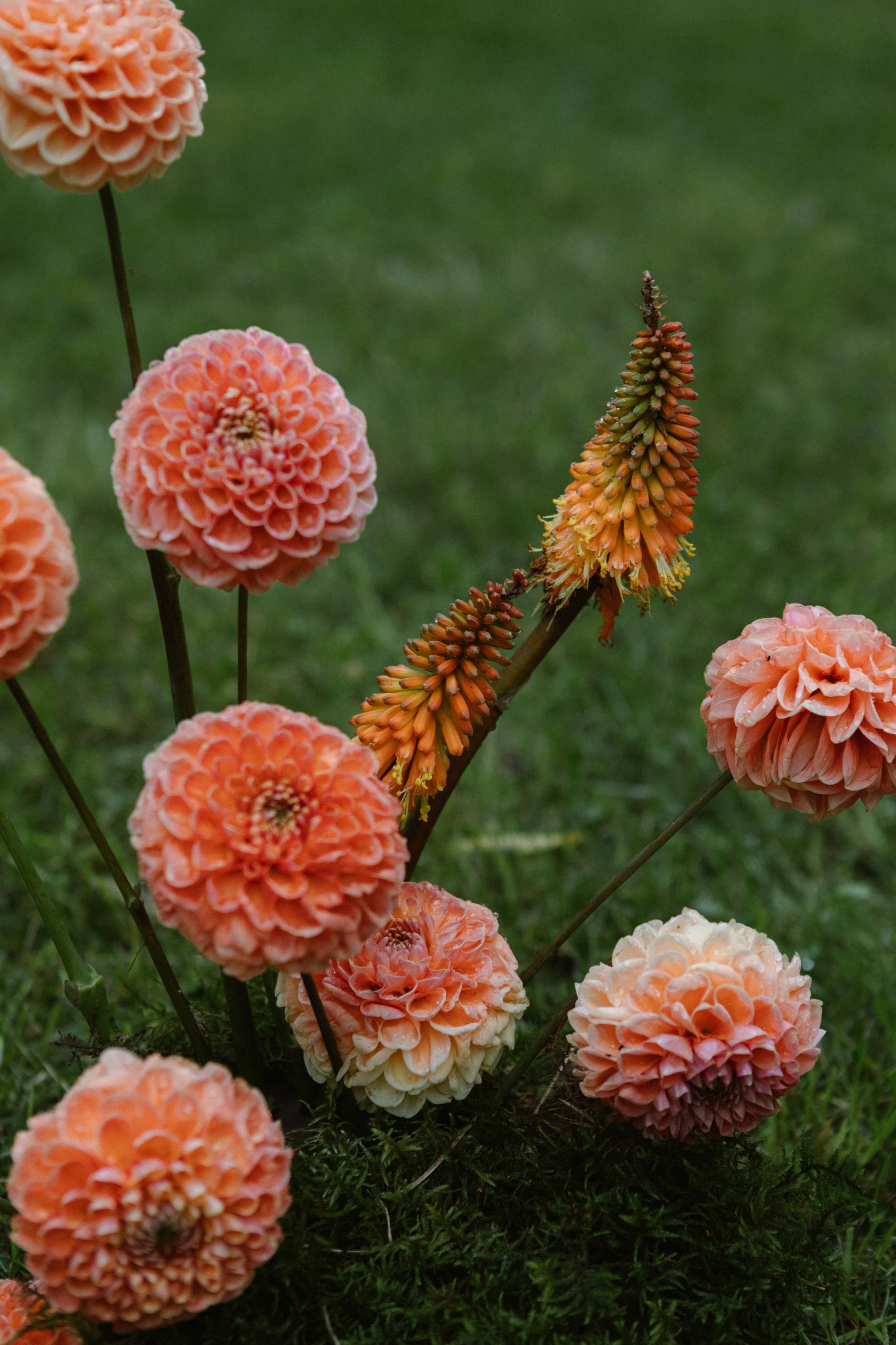 Аня и Сева. Эстетичный свадебный репортаж в любом городе страны