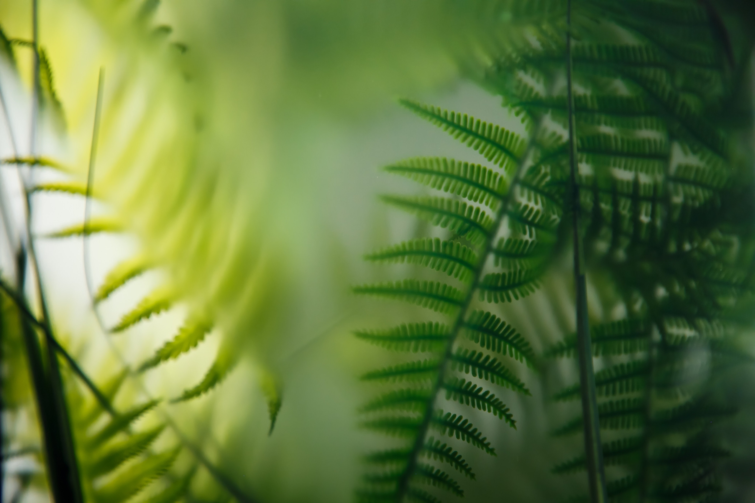 Интерьерная съёмка. Свадебный и репортажный фотограф Александр Козлов