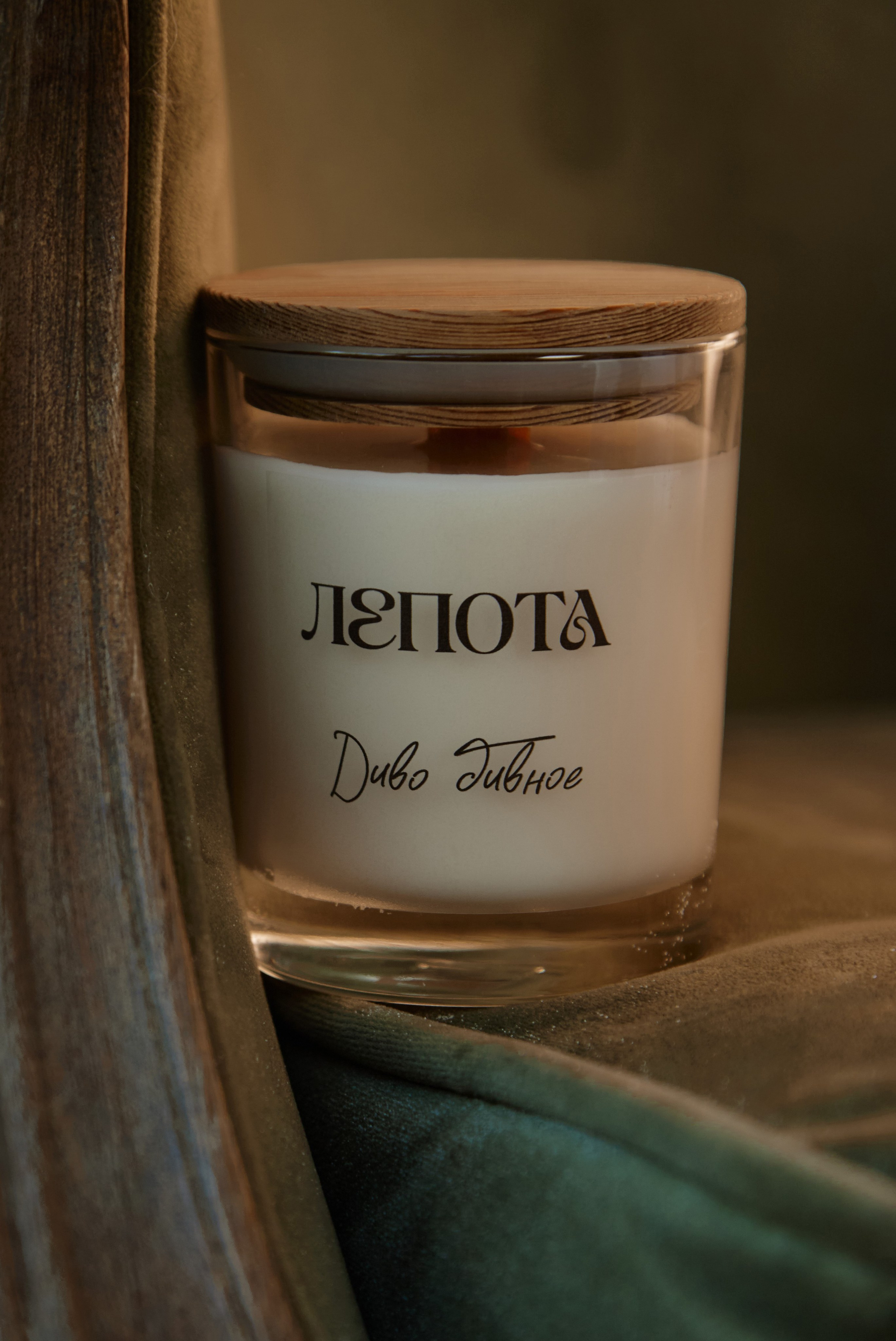 LEPOTA. Smirnova Liza