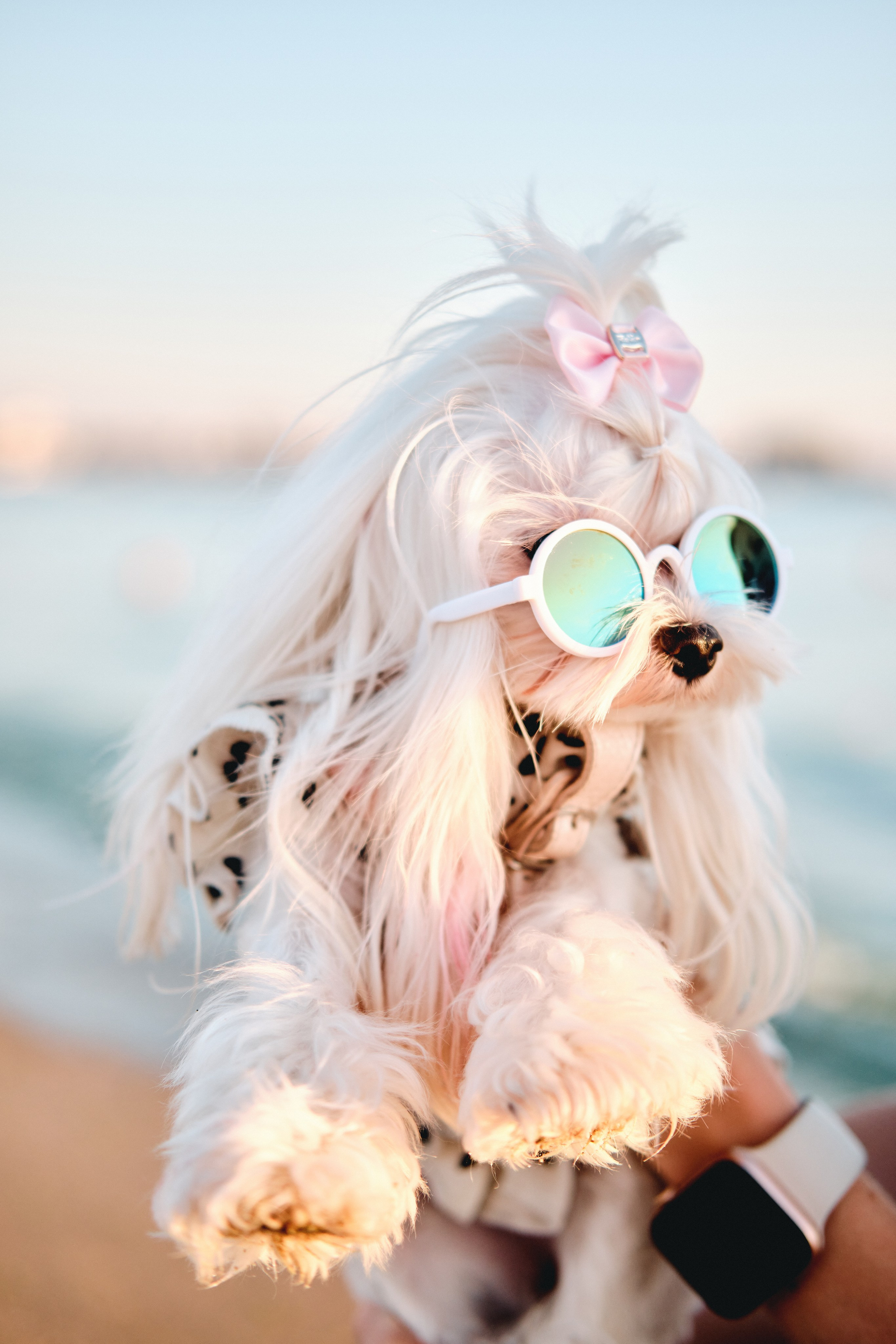 Анапа 2024. Фотограф в Анапе и Краснодаре Тина