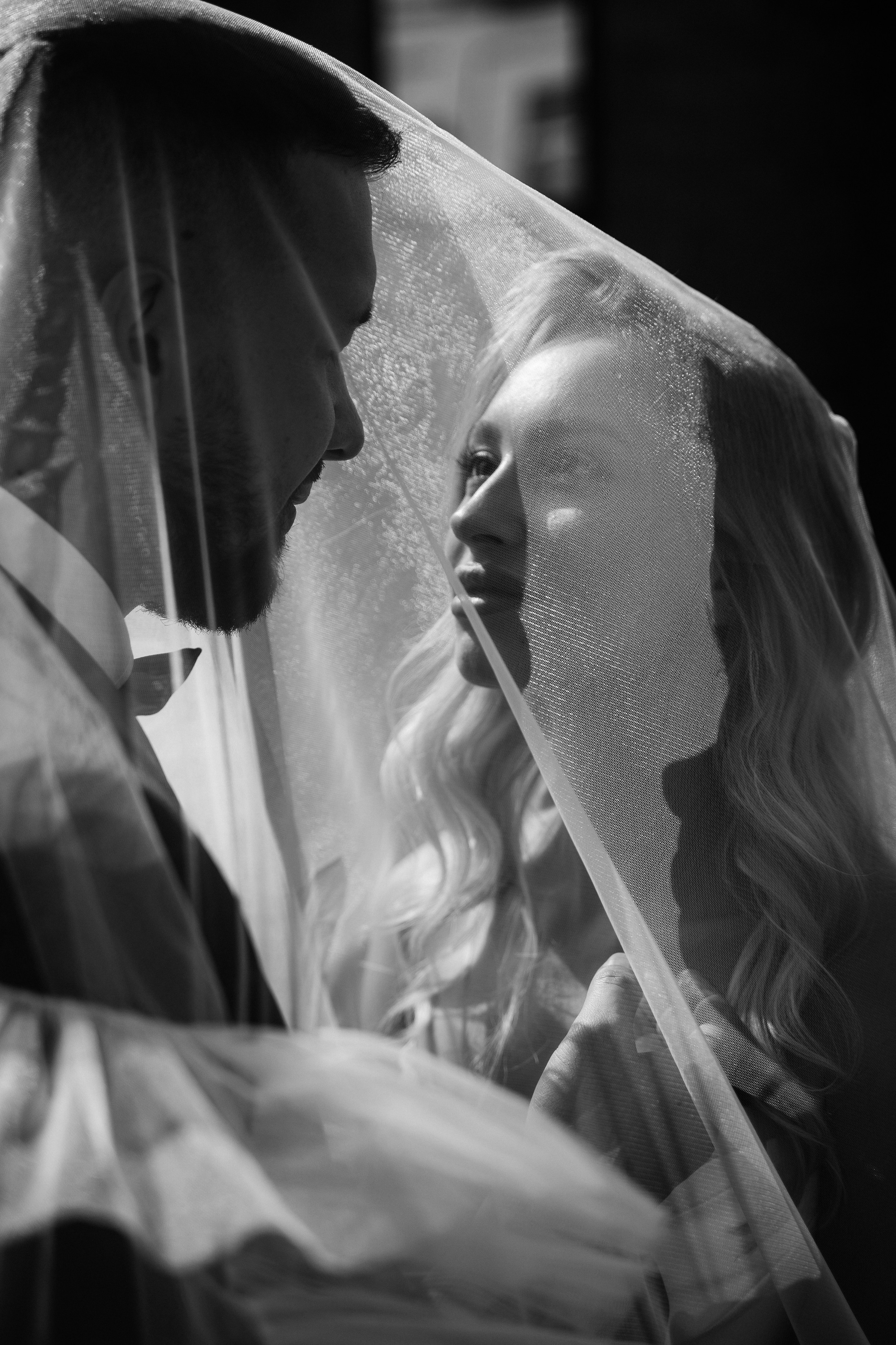 Алина и Алексей. Дмитрий Зайцев свадебный фотограф Тамбов