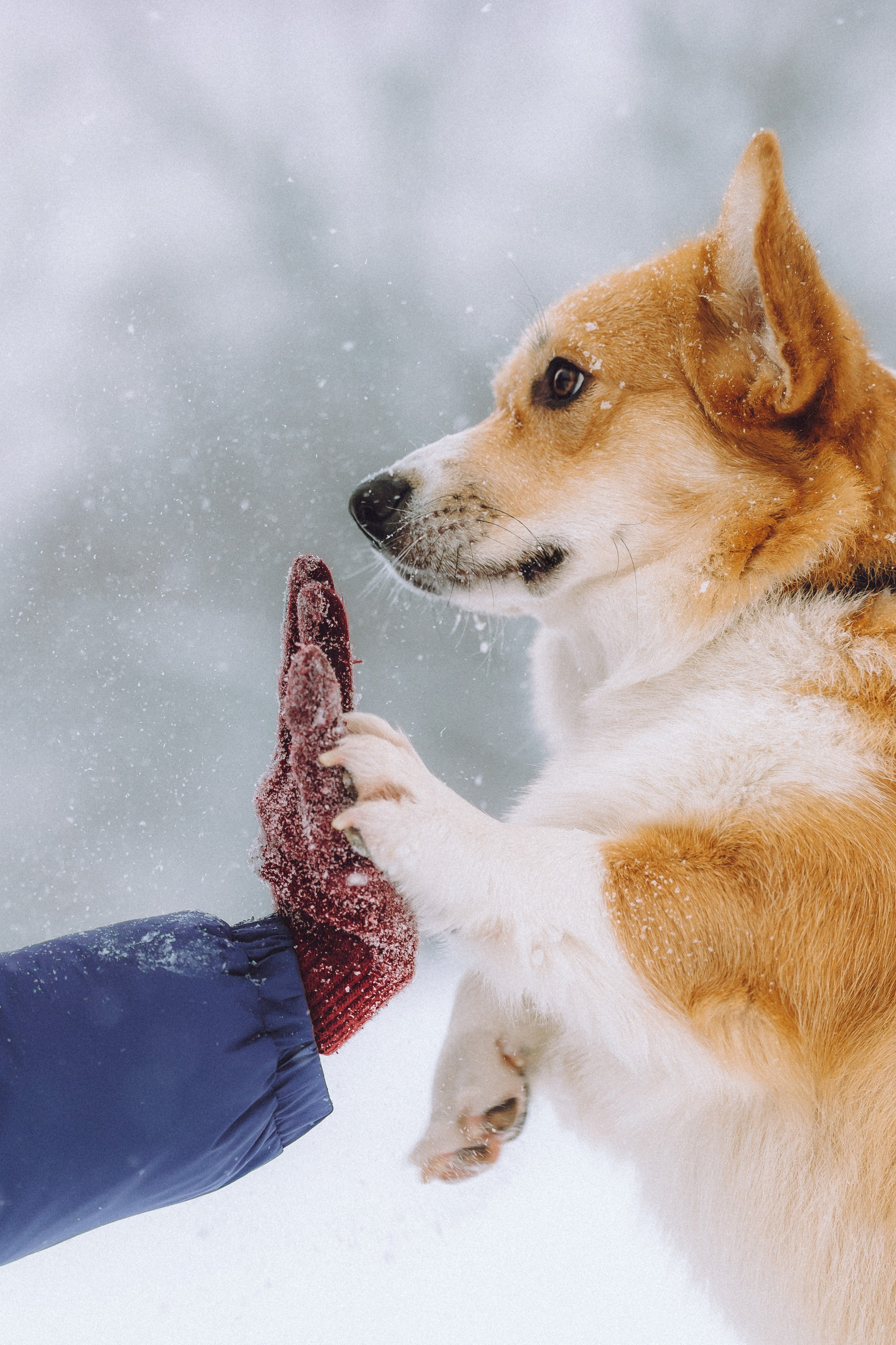 Юля и Юпитер