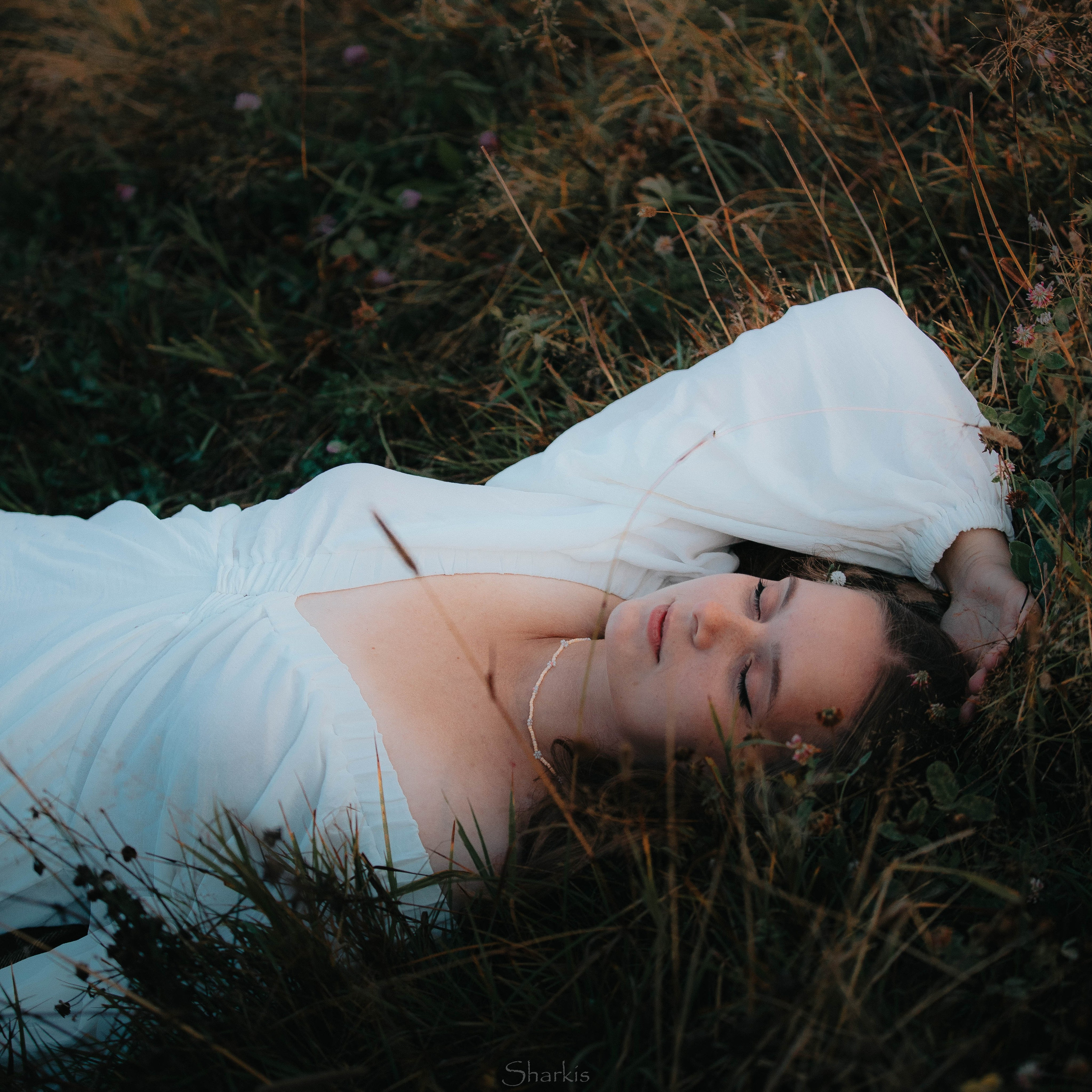 Аня и Гас. Главная