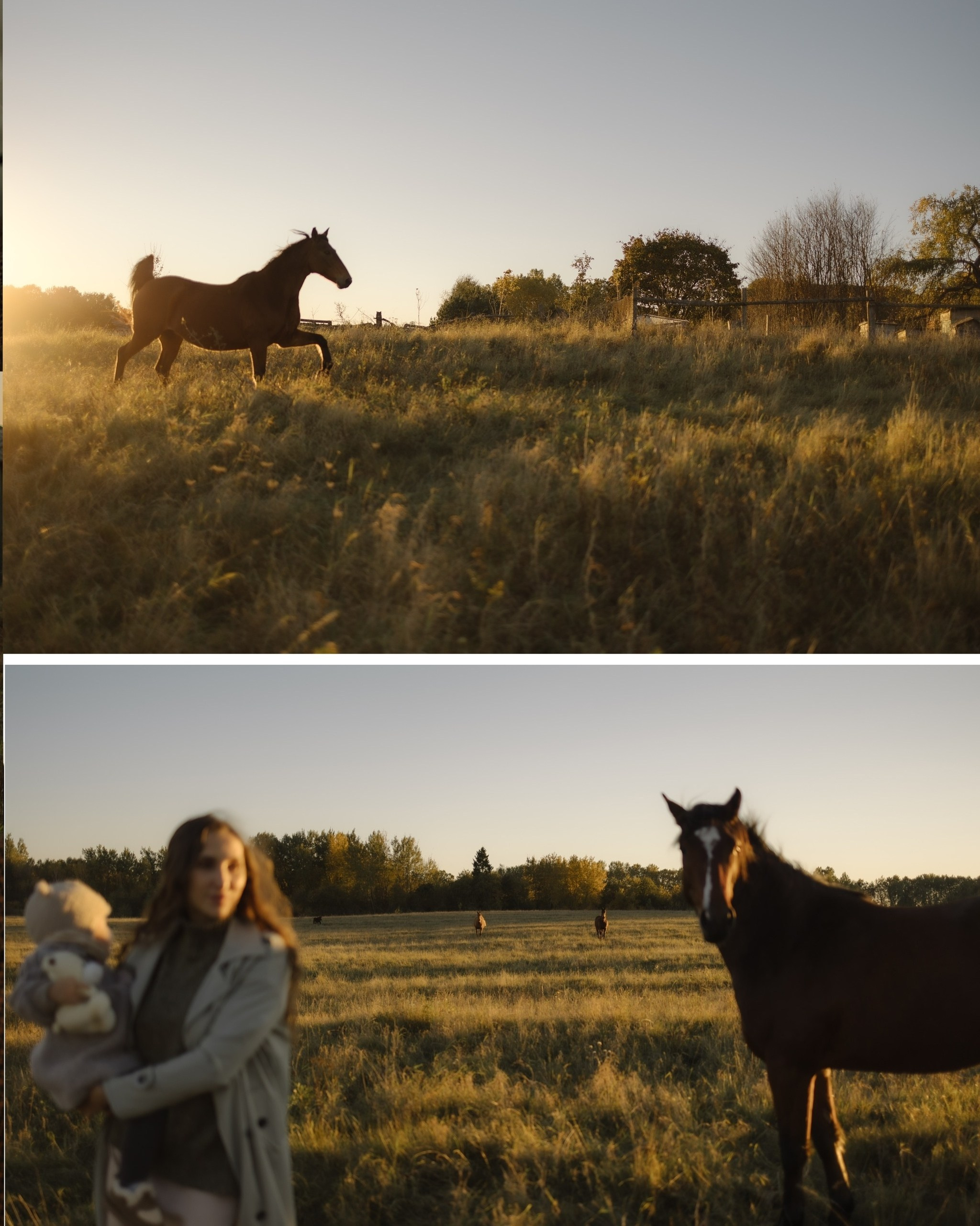Семейные фотосесии 2025