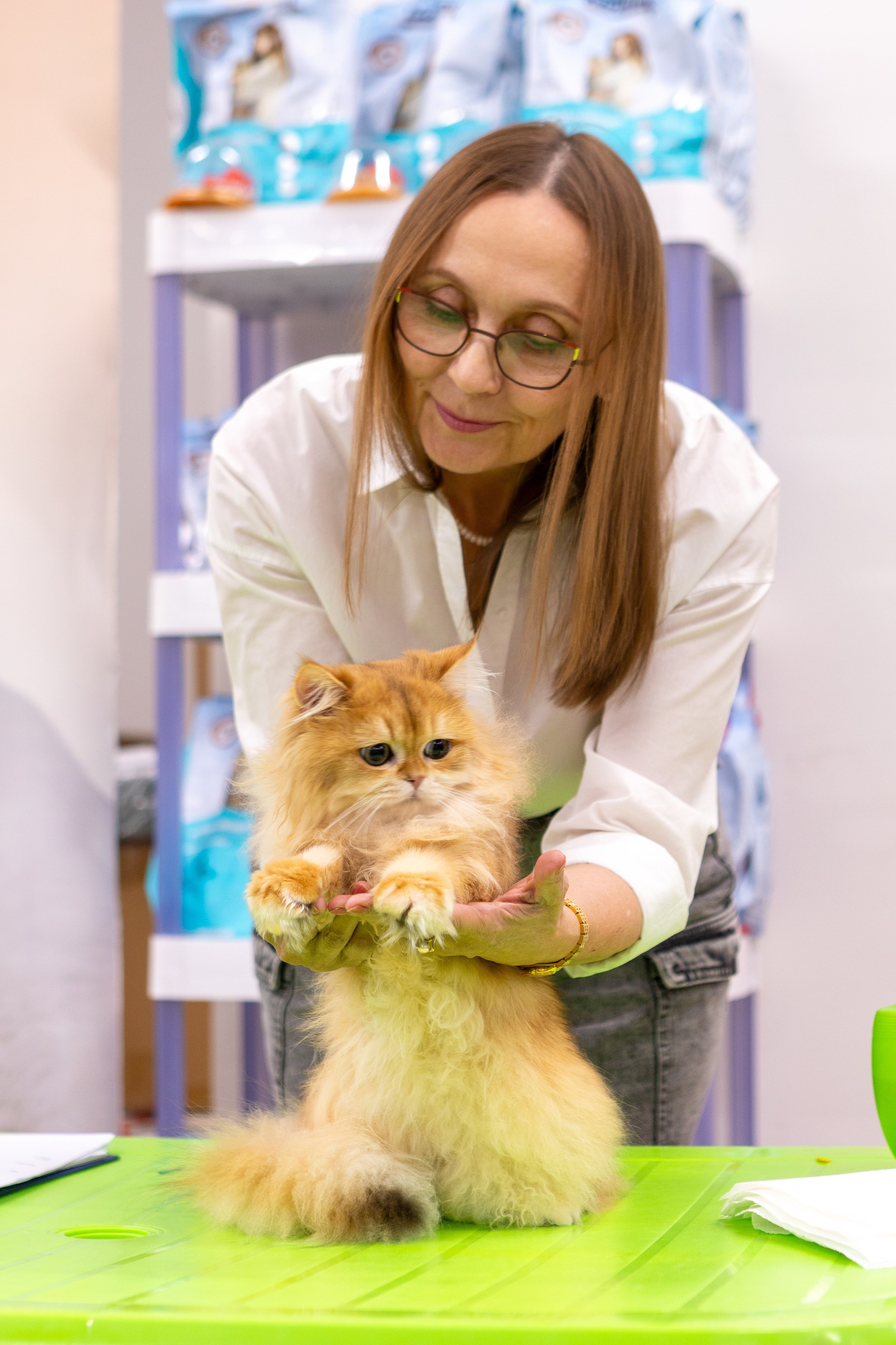 Кошки. Фотограф Яна Матвеева в Ижевске