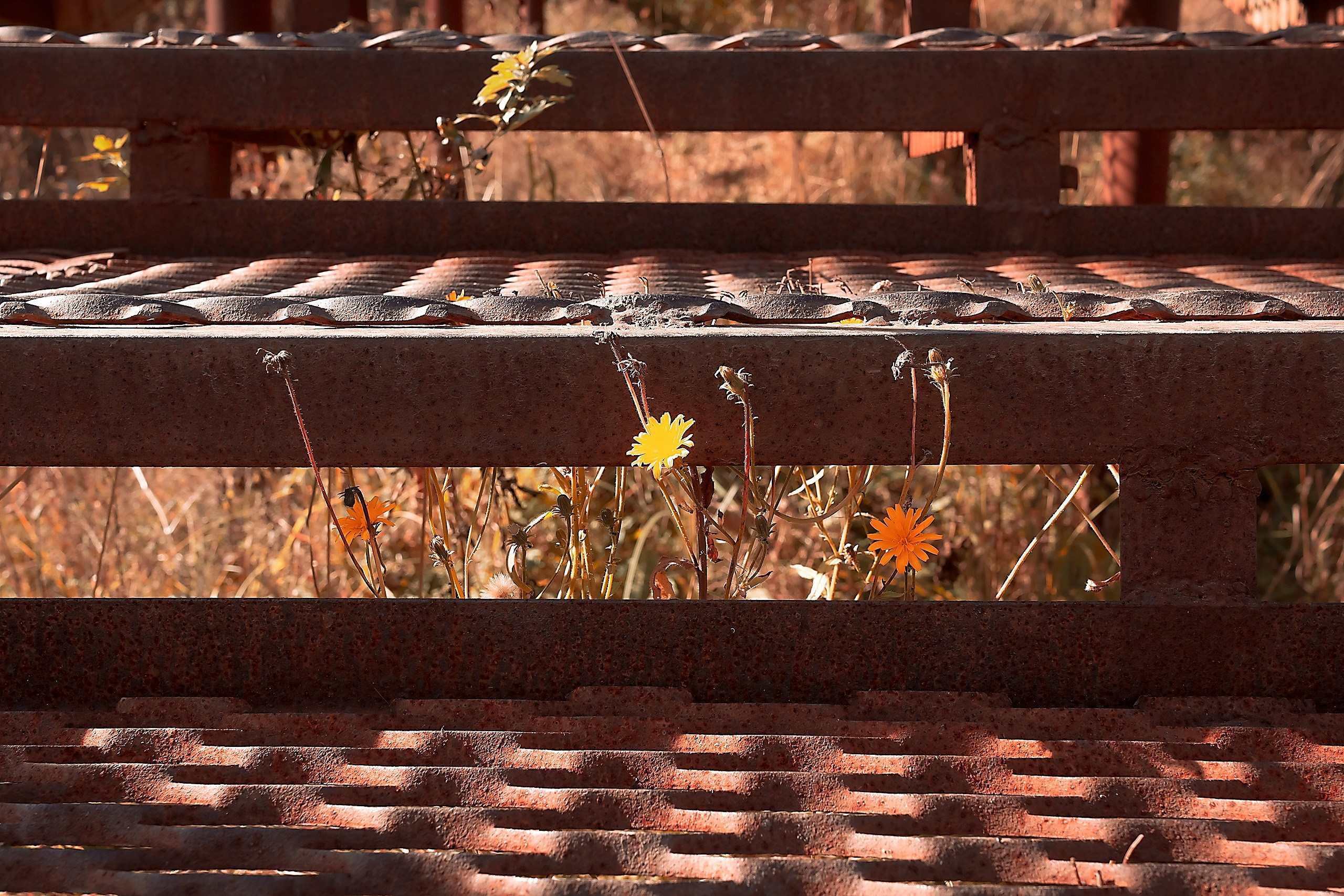 Границы и Рамки. Аmat Victoria Сuram