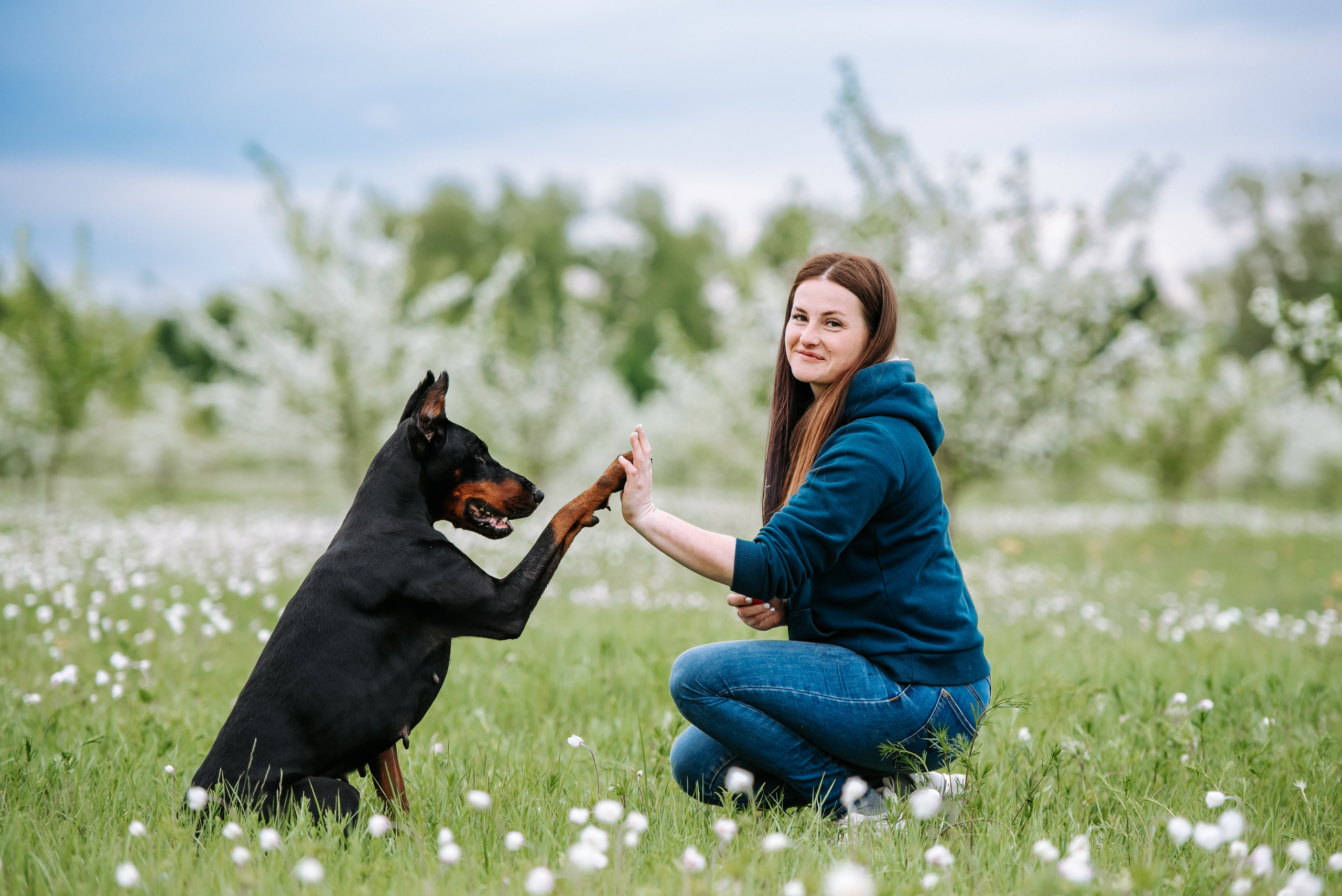 Цветение с доберманами. Фотограф Диана Оленина Красноярск / Братск