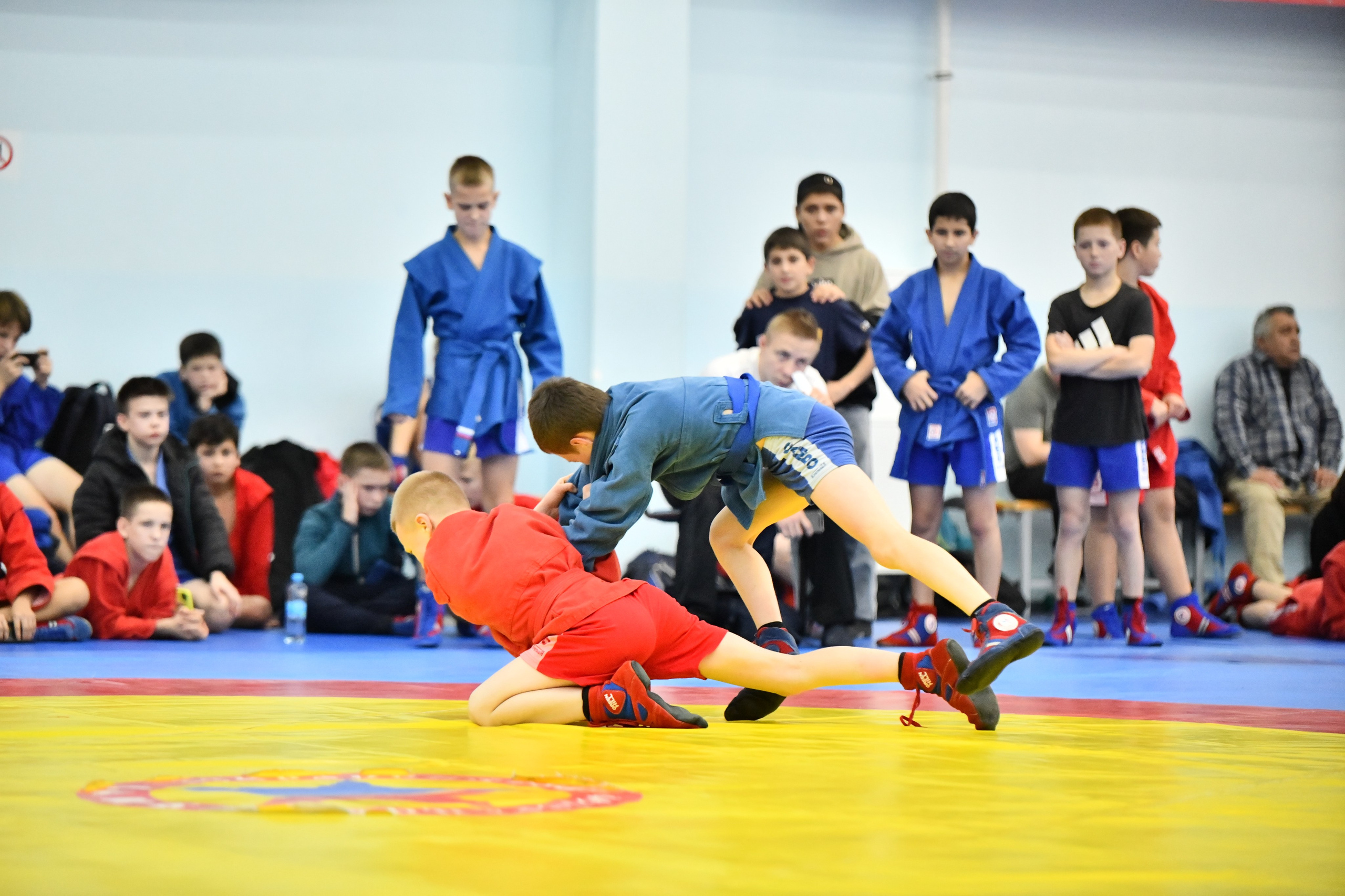 Самбо. Турнир памяти В. И. Минакова. Фото детских спортивных мероприятий и всякое интересное через объектив