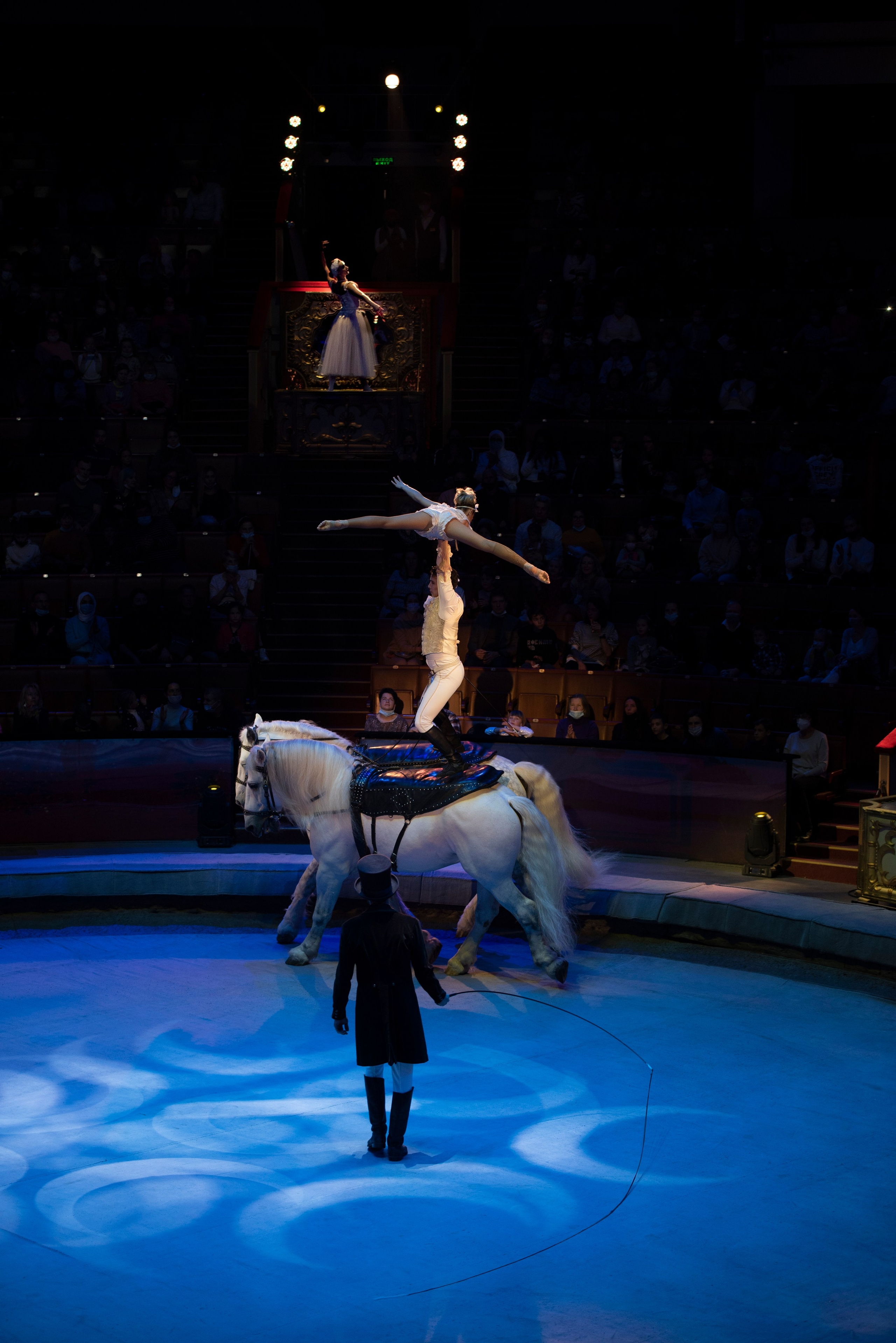 Цирк Запашных — Шоу И100рия. Женский и семейный фотограф в Москве, Железнодорожном Анастасия Кинёва